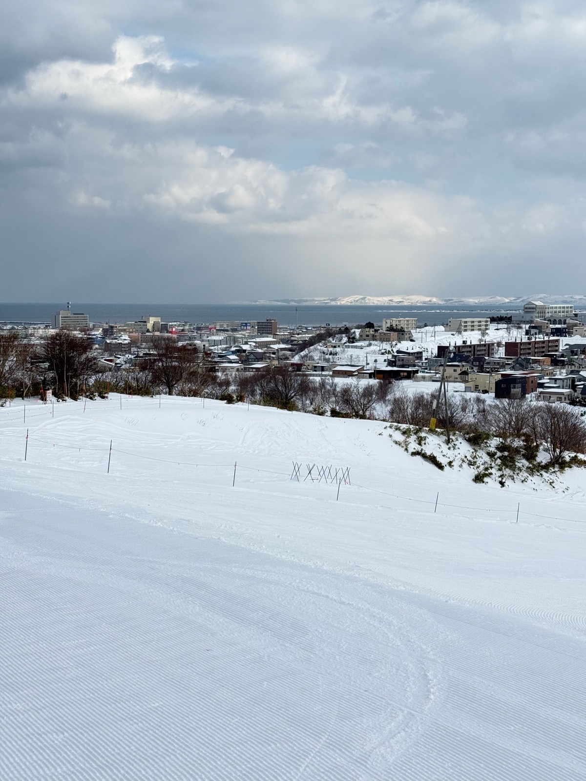 稚内市こまどり