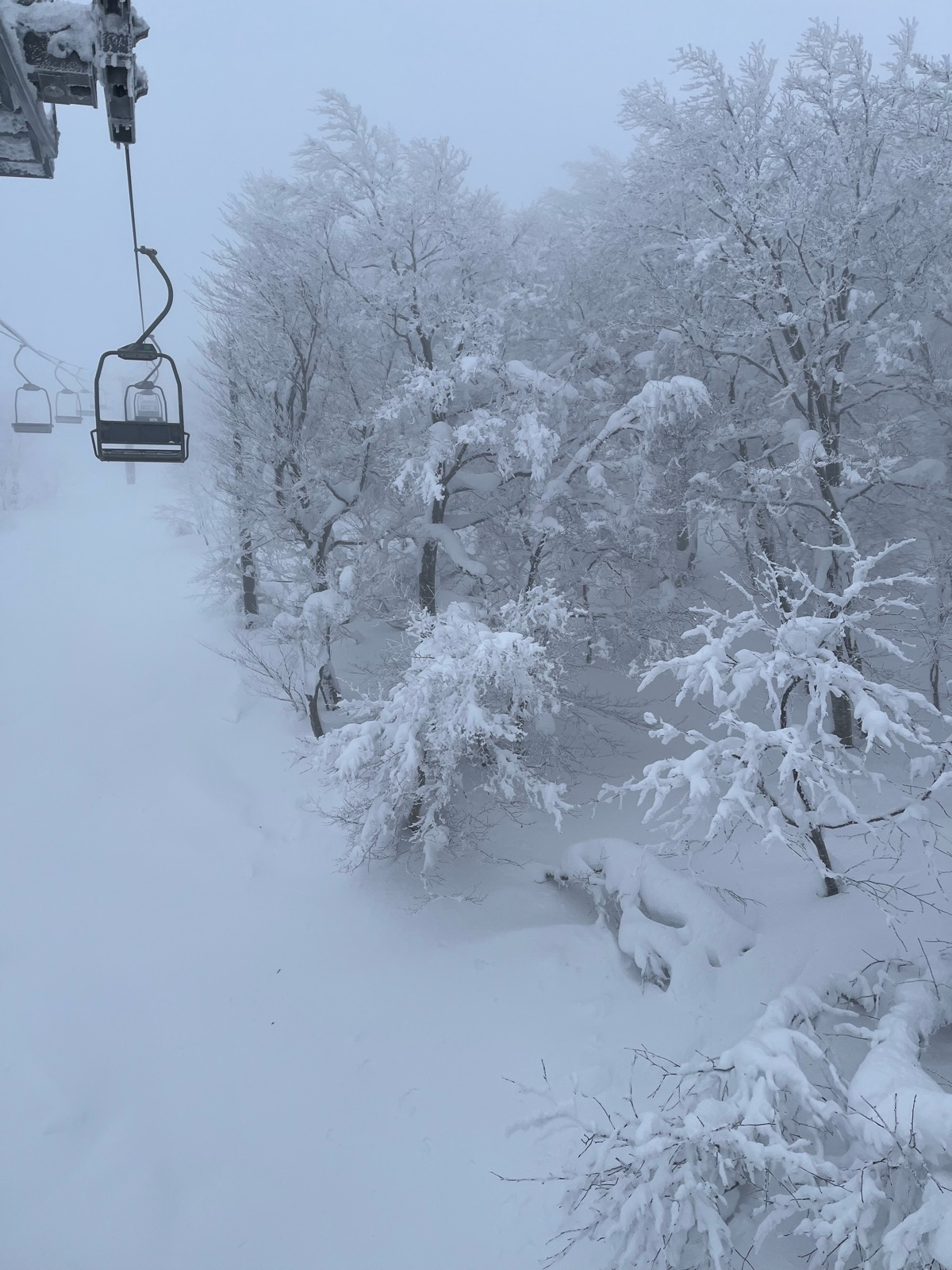 たざわ湖スキー場