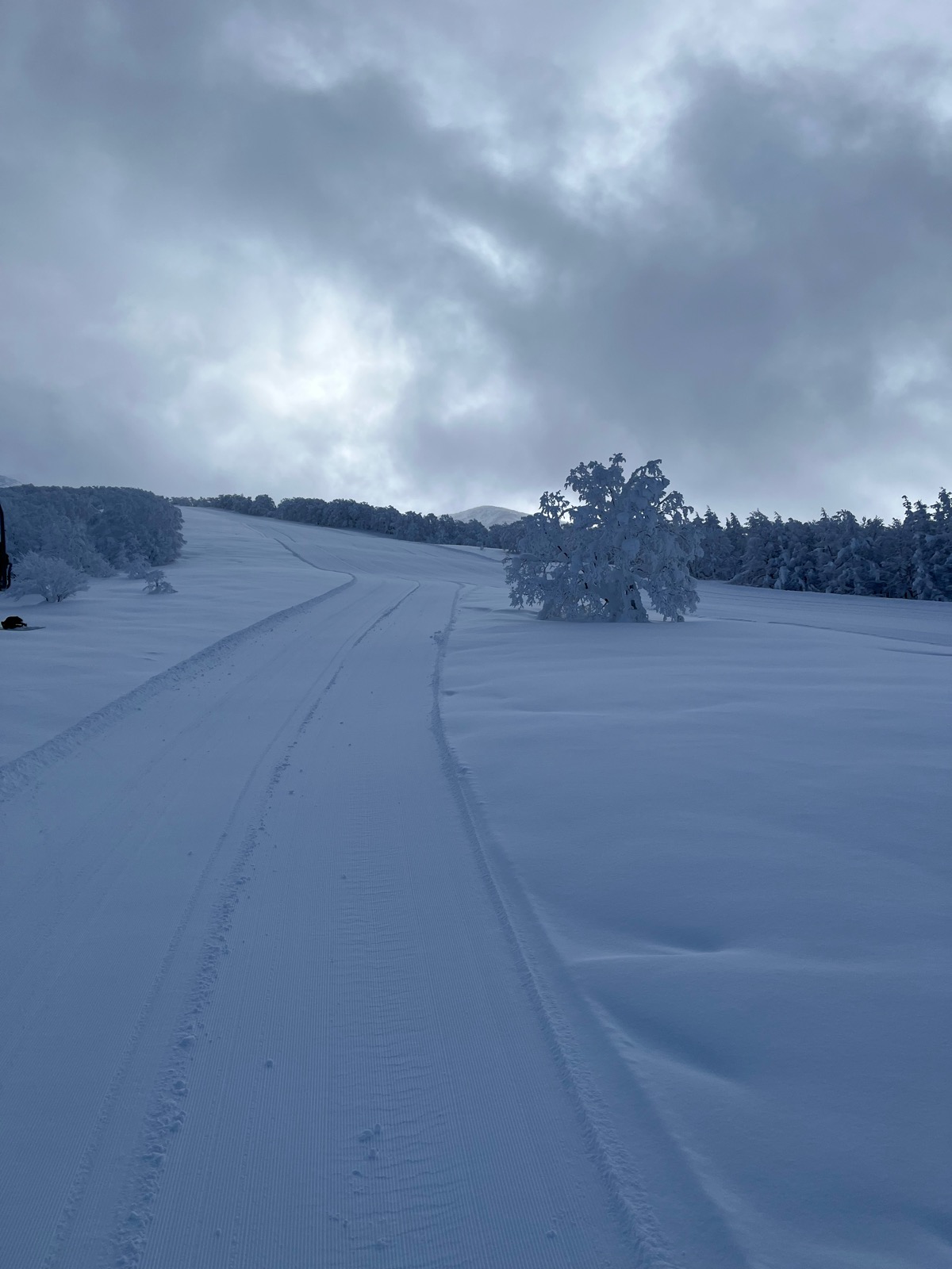たざわ湖スキー場