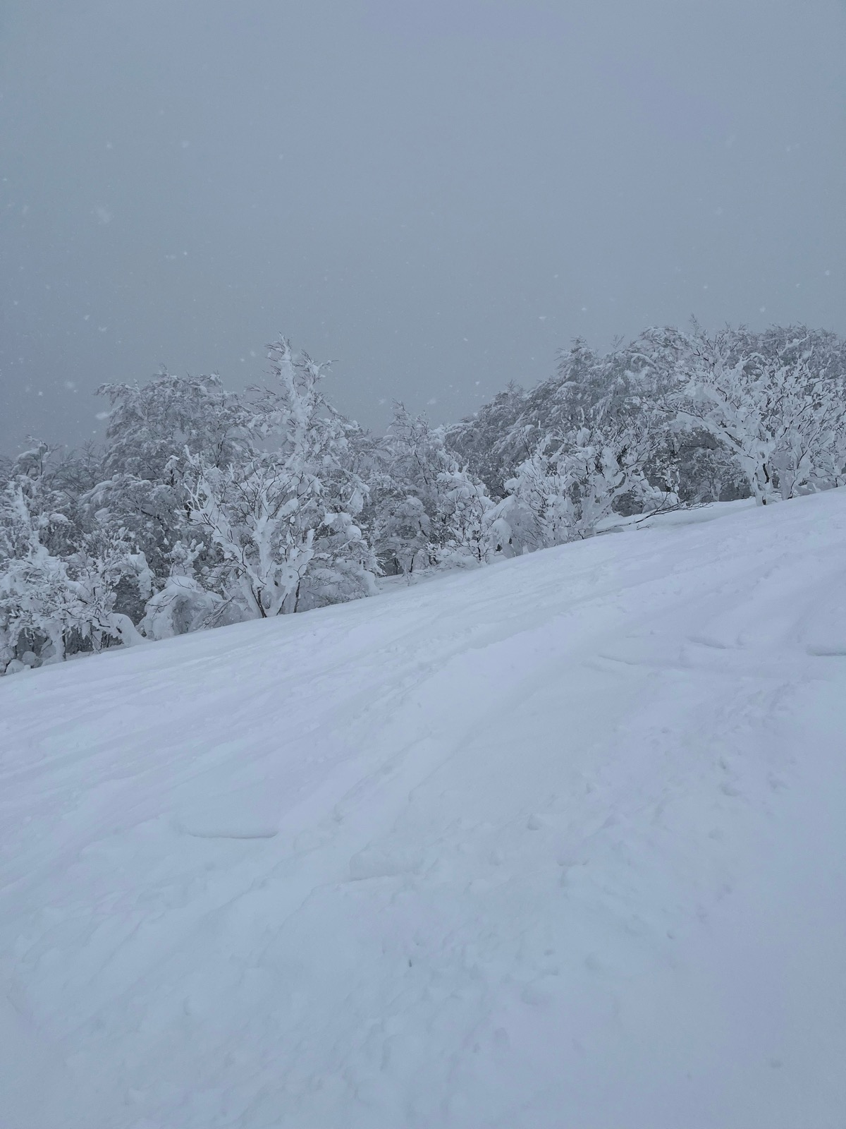 たざわ湖スキー場