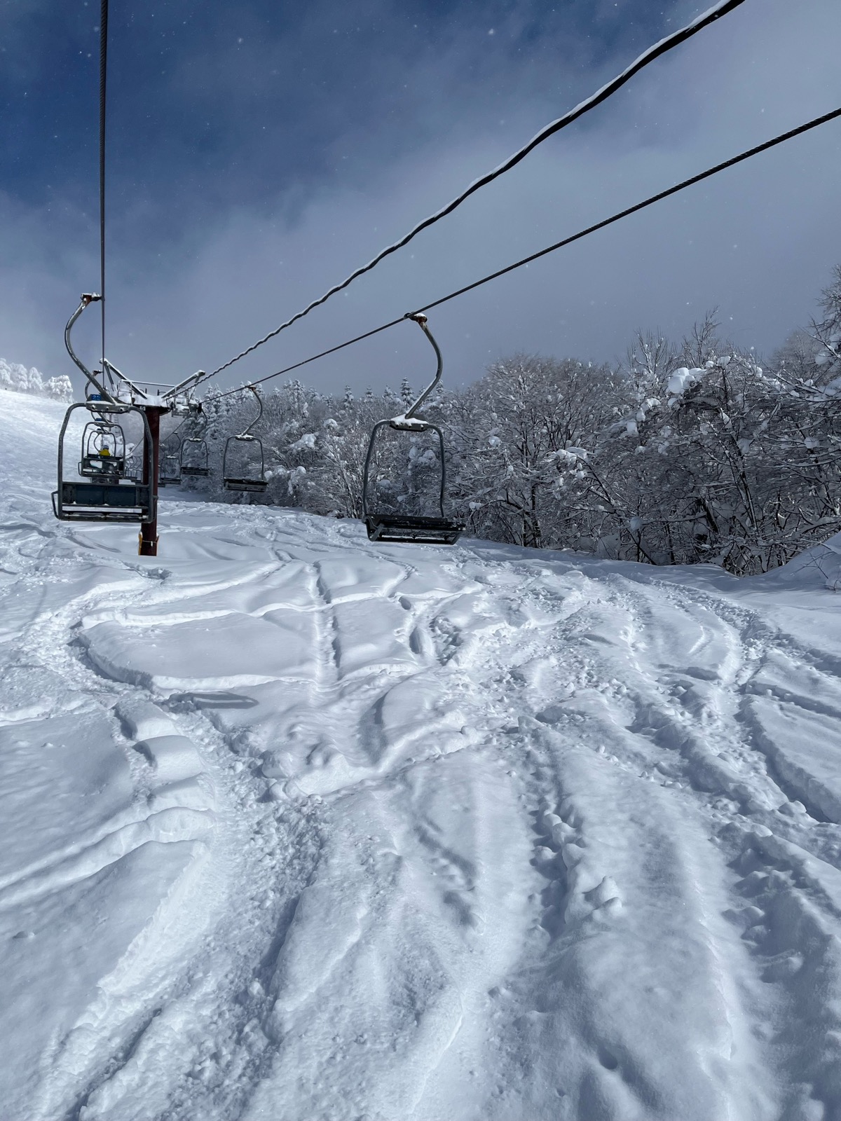 たざわ湖スキー場