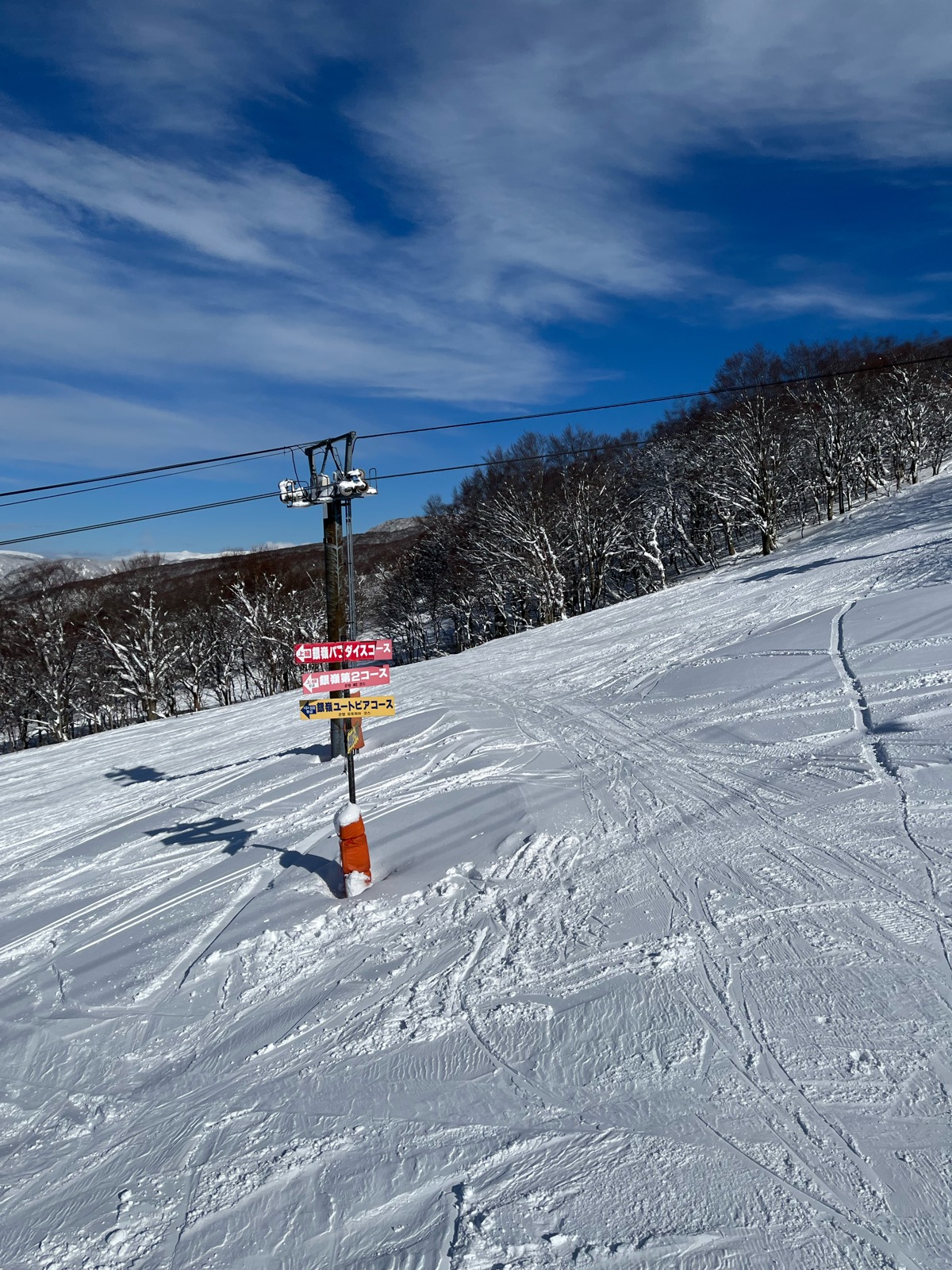 たざわ湖スキー場