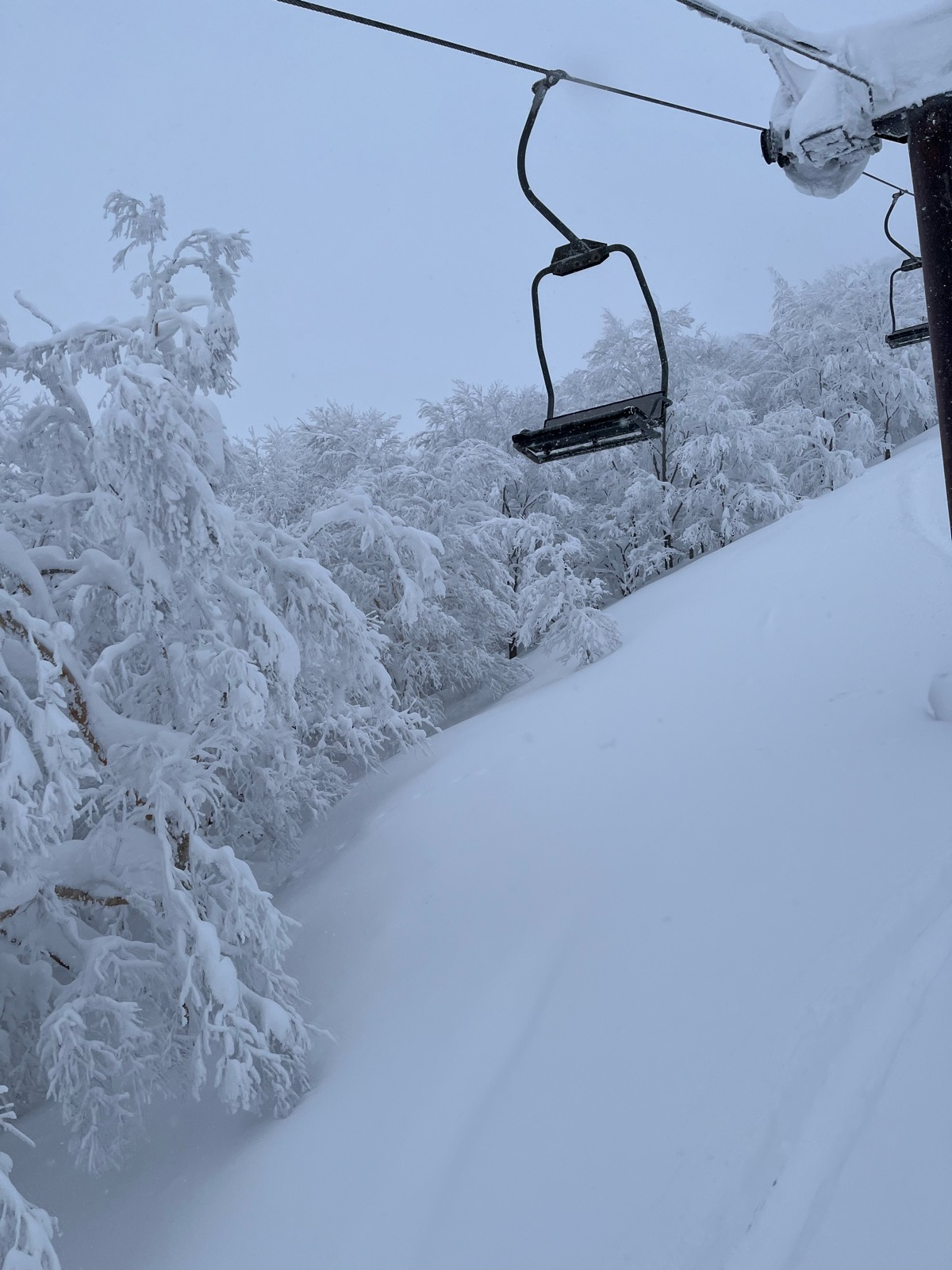 たざわ湖スキー場