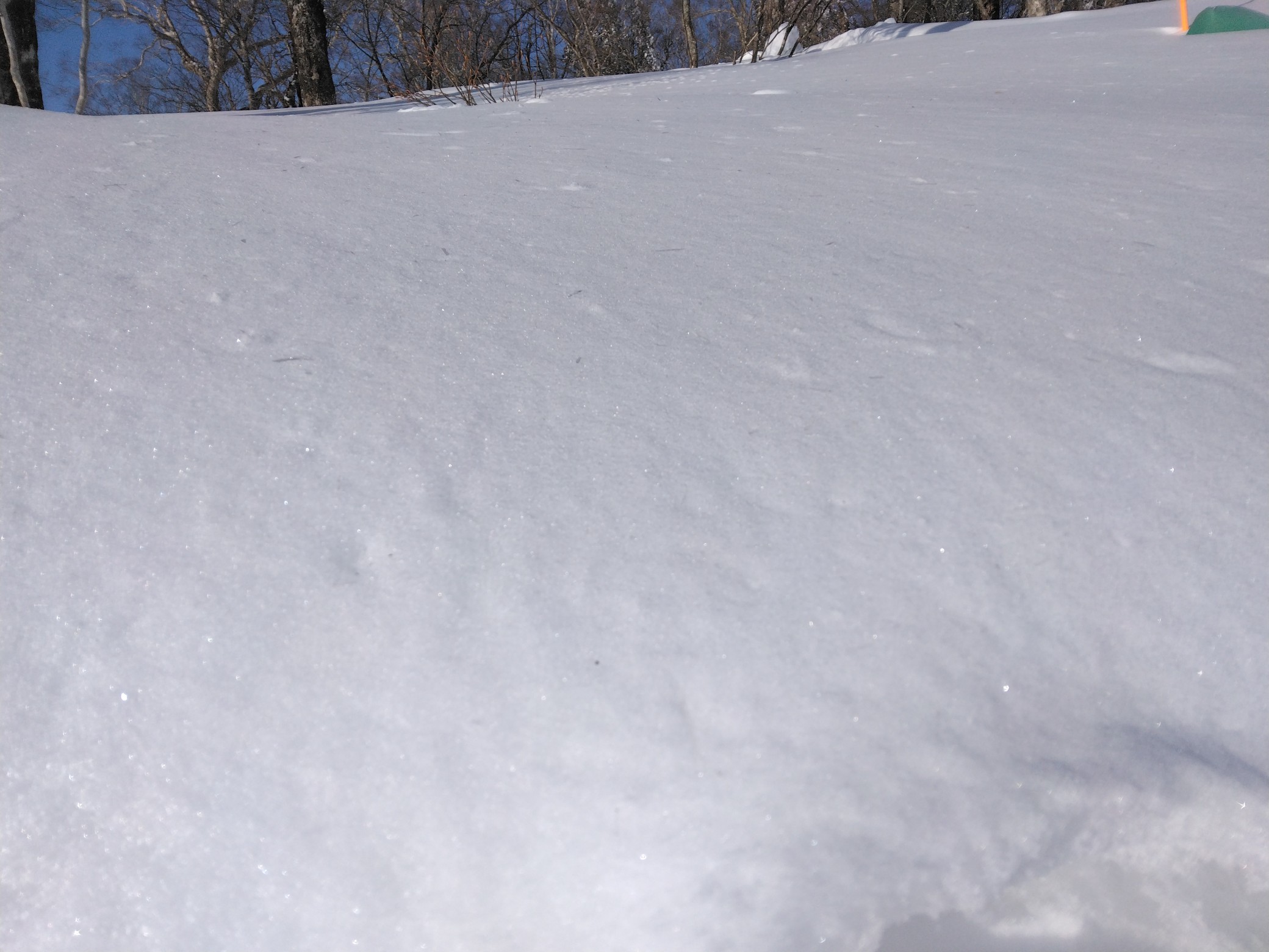 たんばらスキーパーク