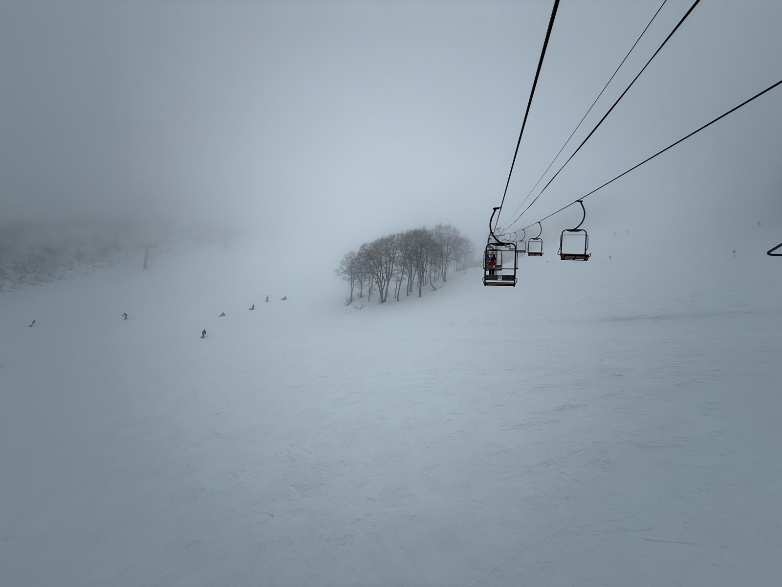 Hakuba47 ウィンタースポーツパーク 