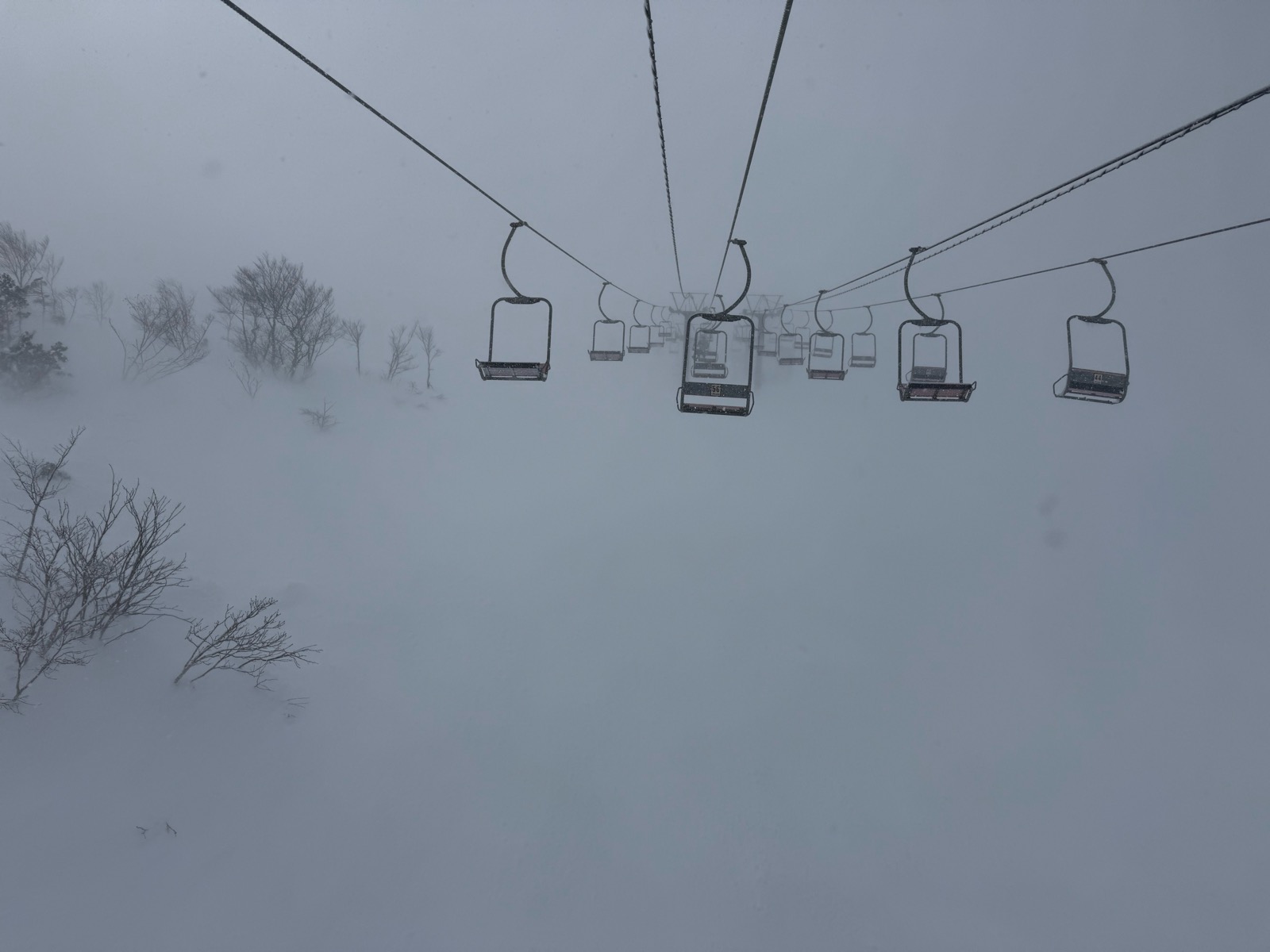 Hakuba47 ウィンタースポーツパーク 