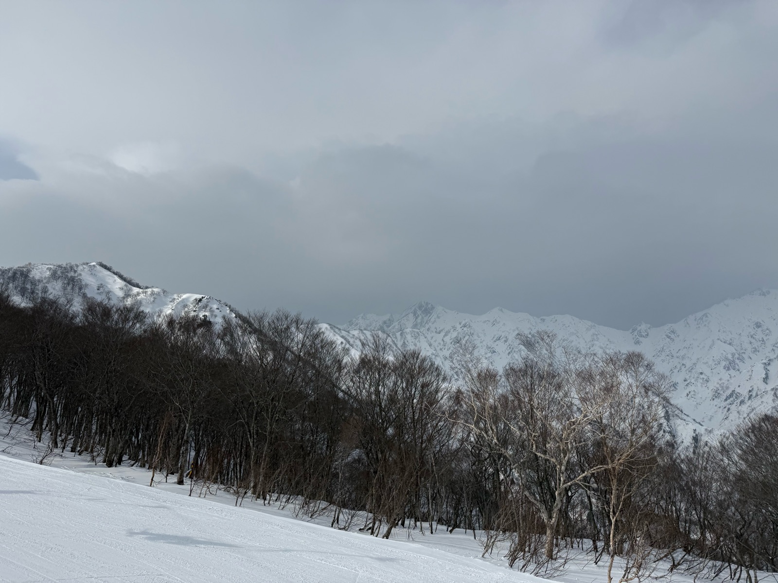 Hakuba47 ウィンタースポーツパーク 