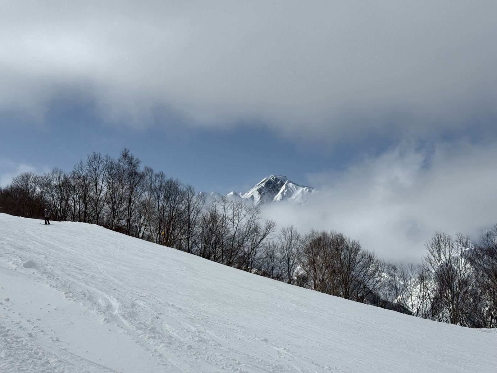 Hakuba47 ウィンタースポーツパーク 
