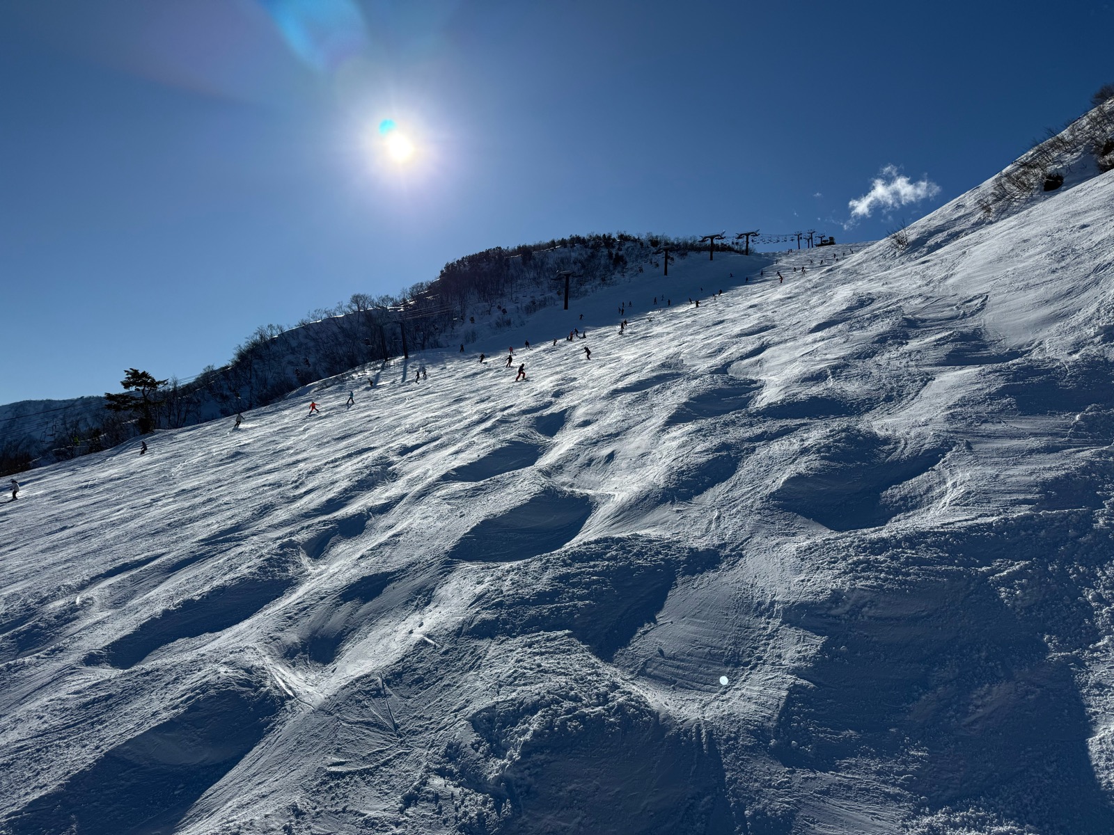 Hakuba47 ウィンタースポーツパーク 