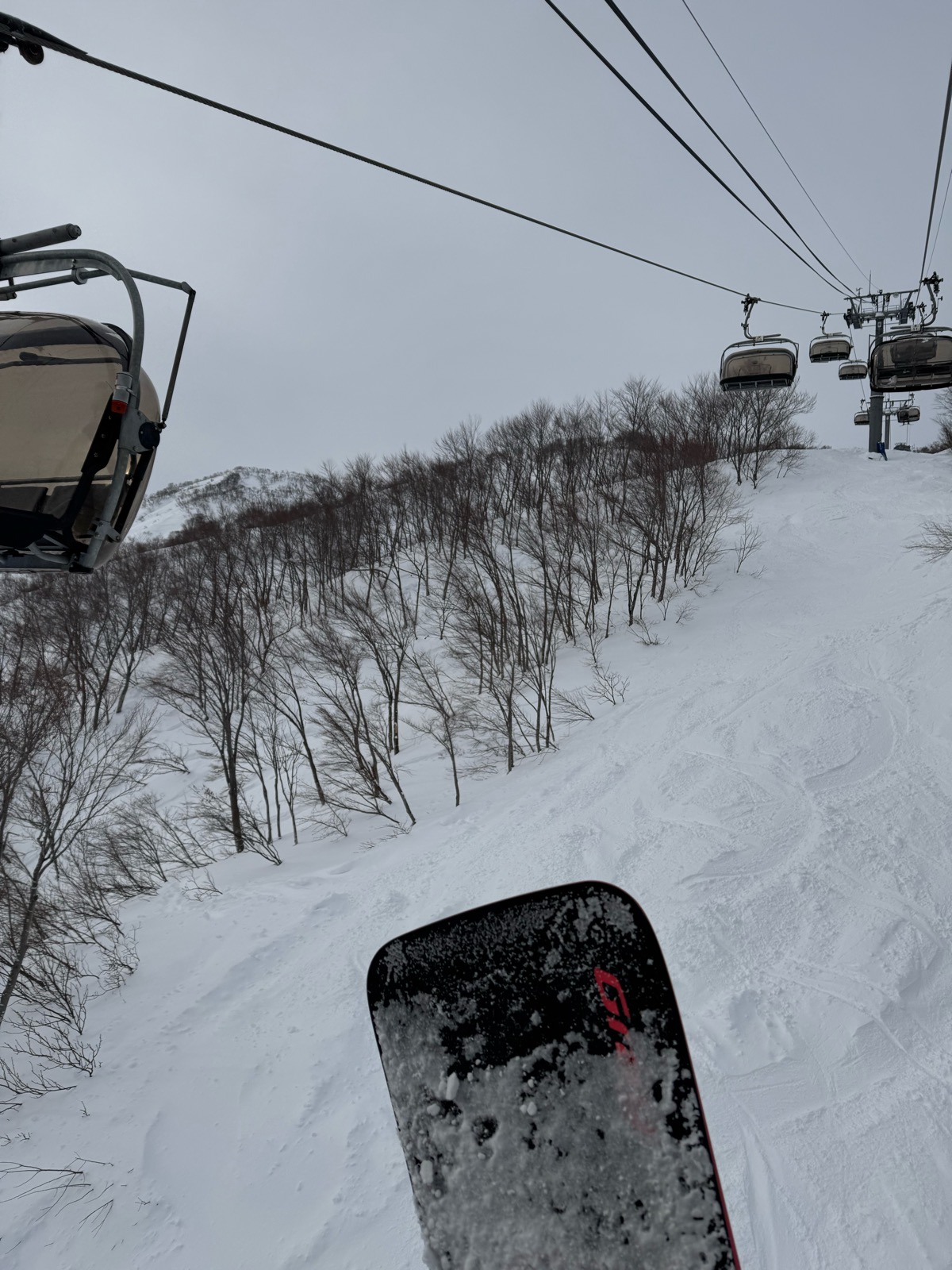 ロッテ アライリゾート