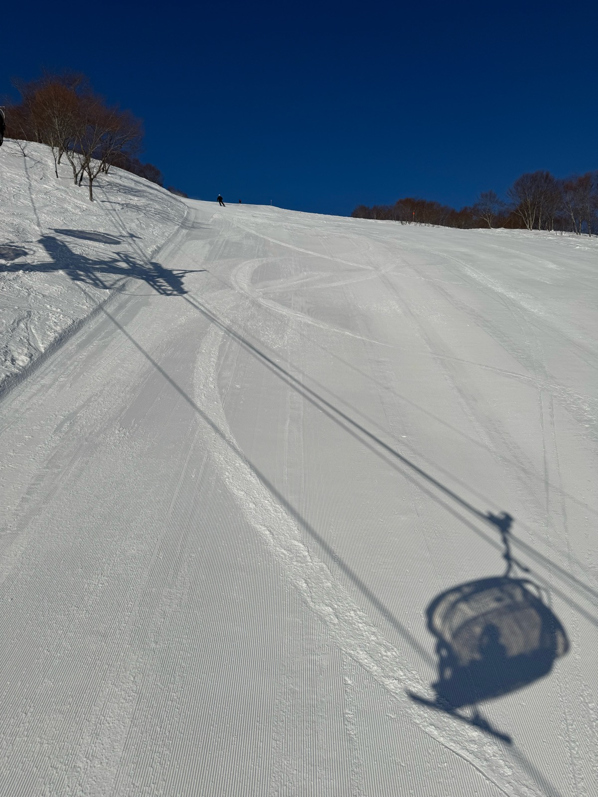 ロッテ アライリゾート