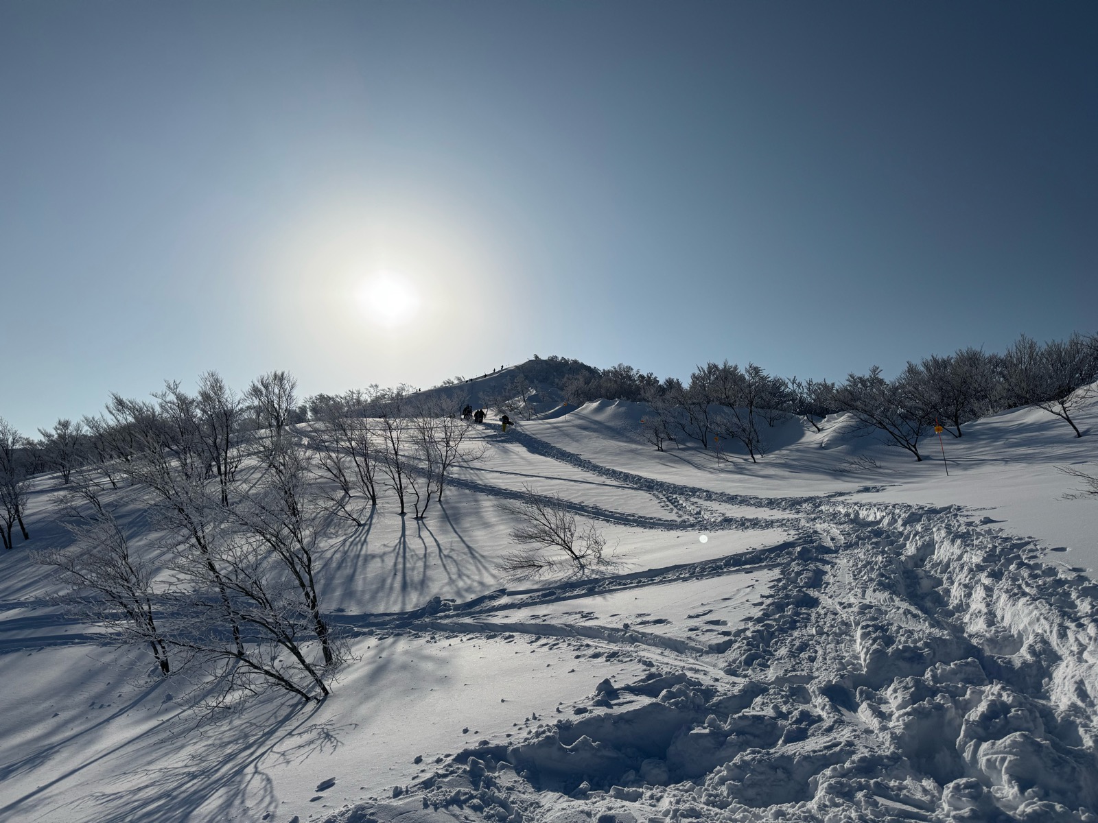 ロッテ アライリゾート