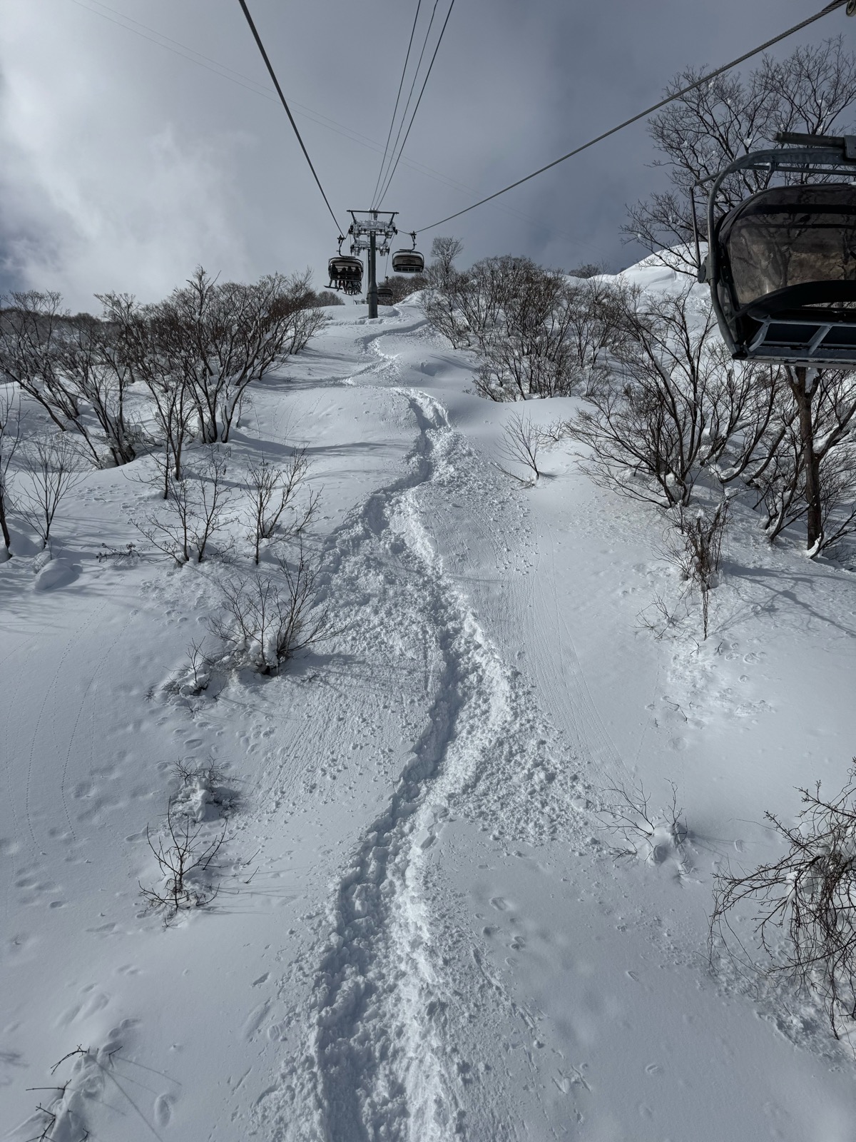 ロッテ アライリゾート