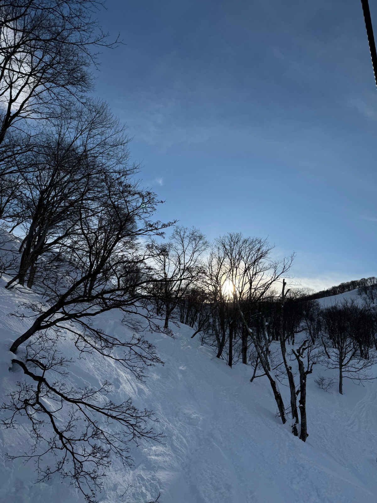 ロッテ アライリゾート