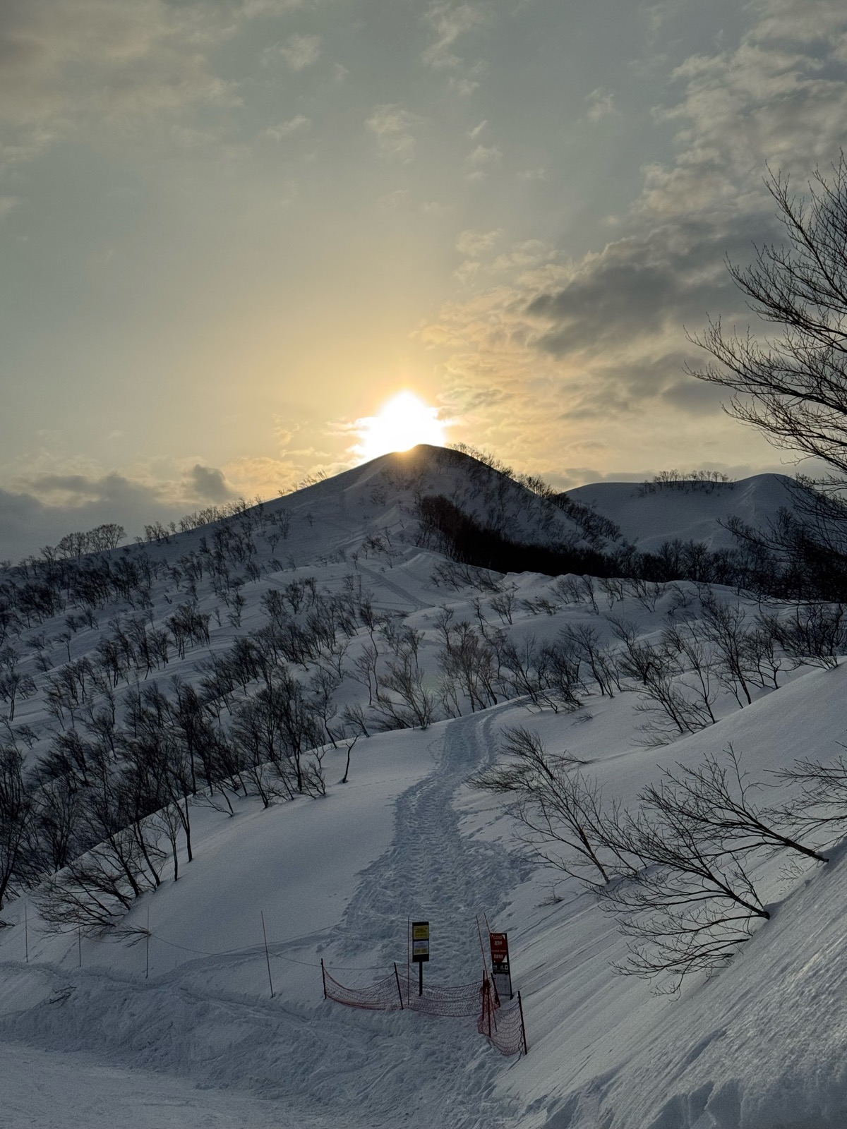 ロッテ アライリゾート