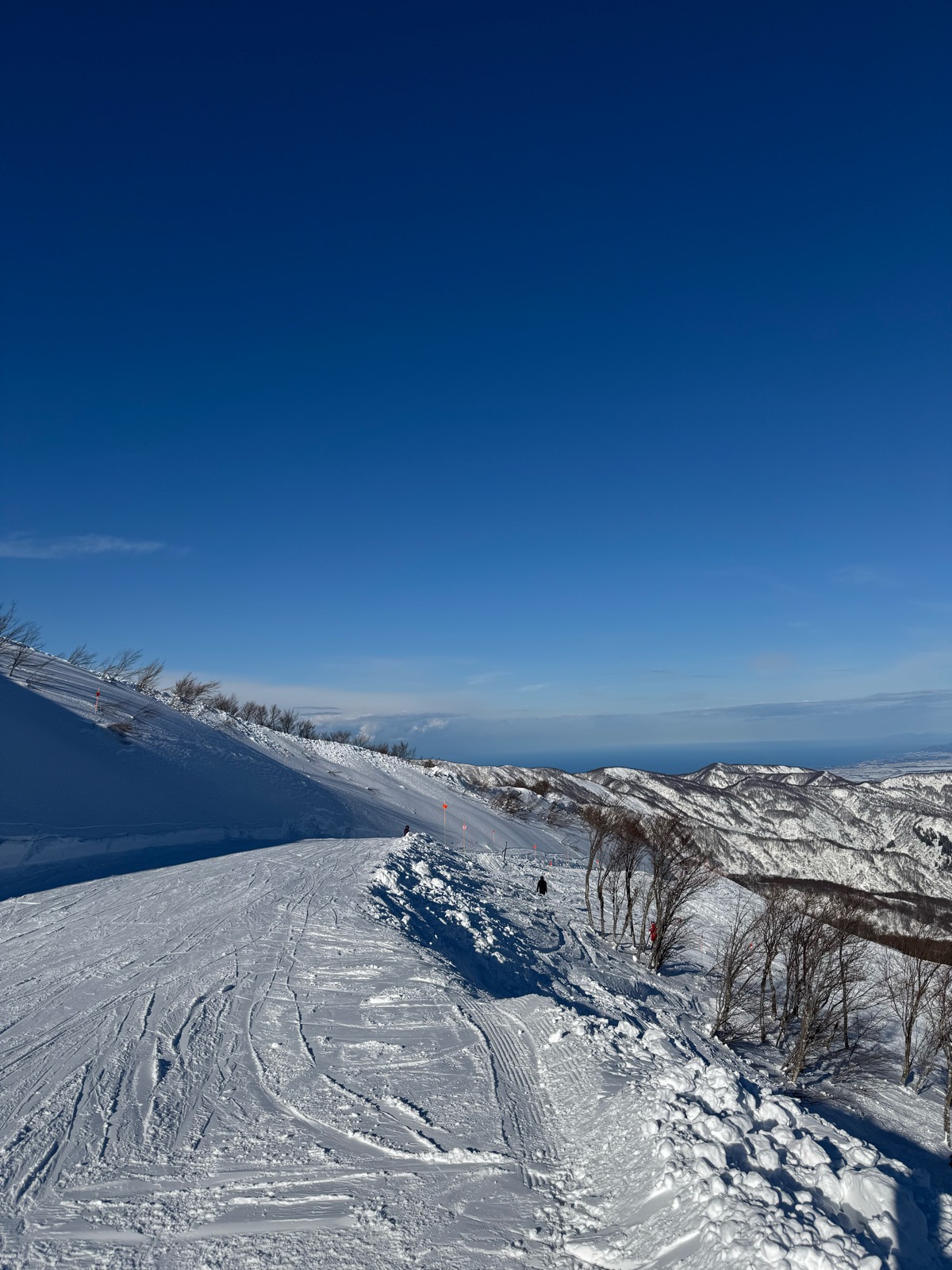 ロッテ アライリゾート