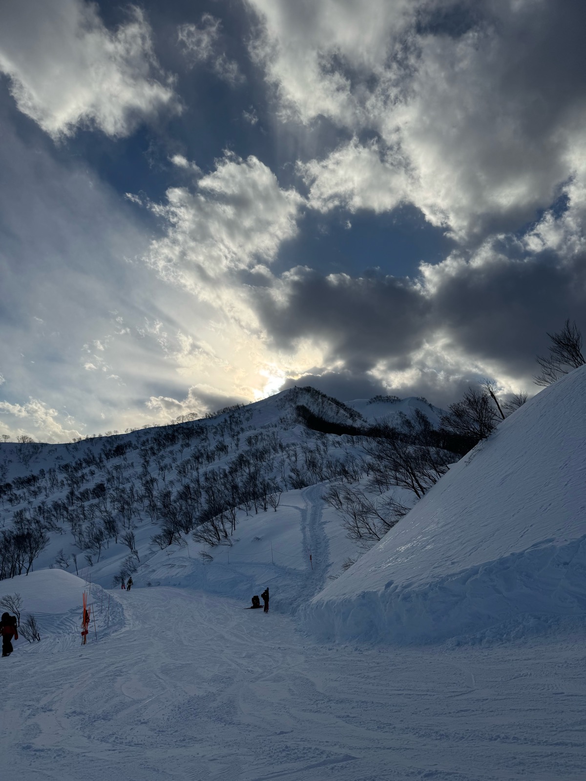 ロッテ アライリゾート