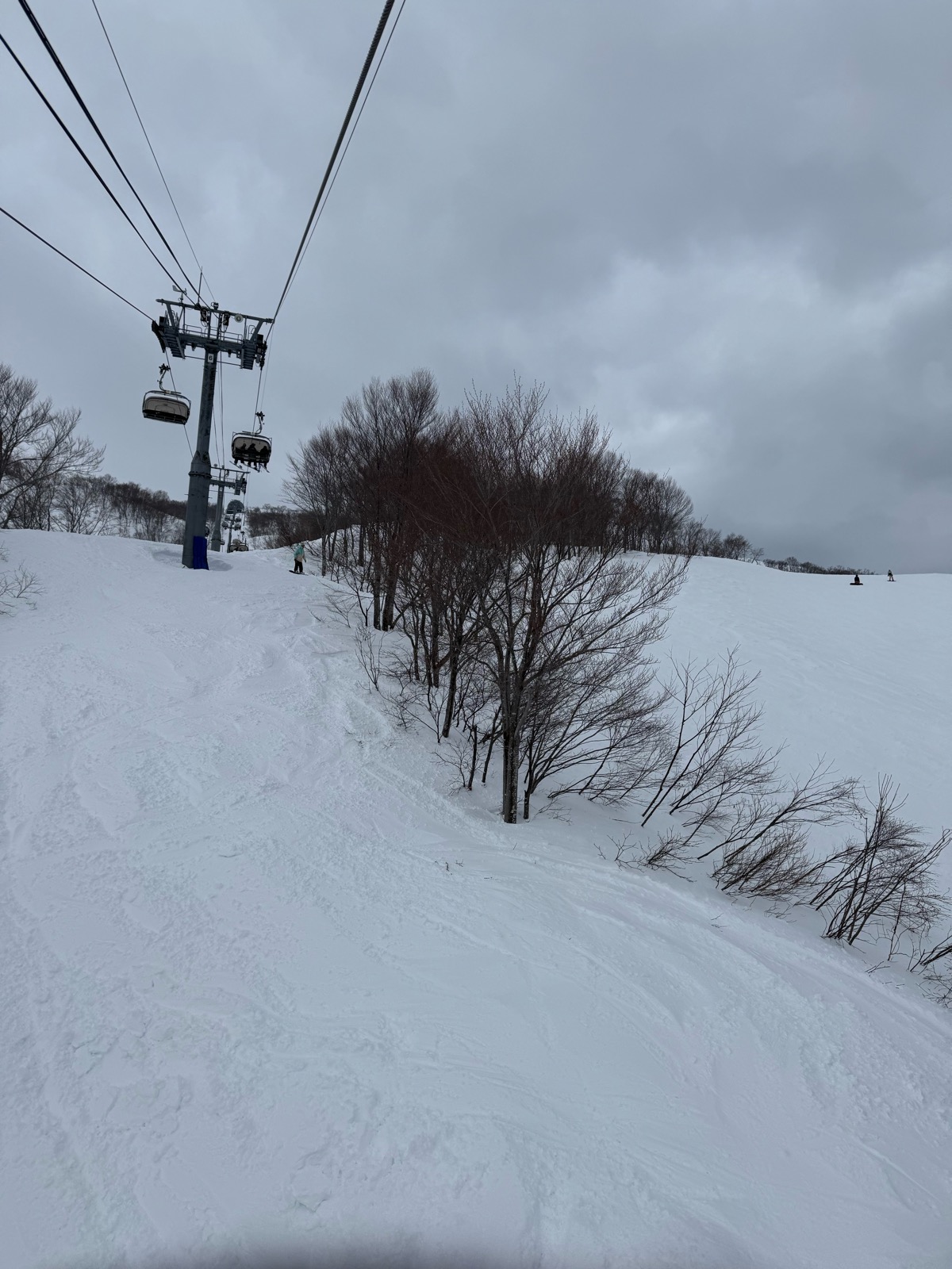 ロッテ アライリゾート