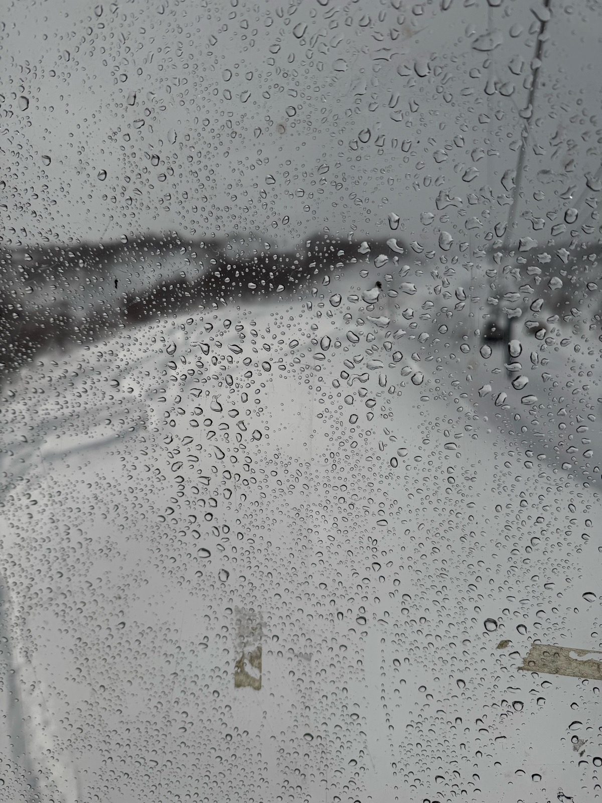 ロッテ アライリゾート