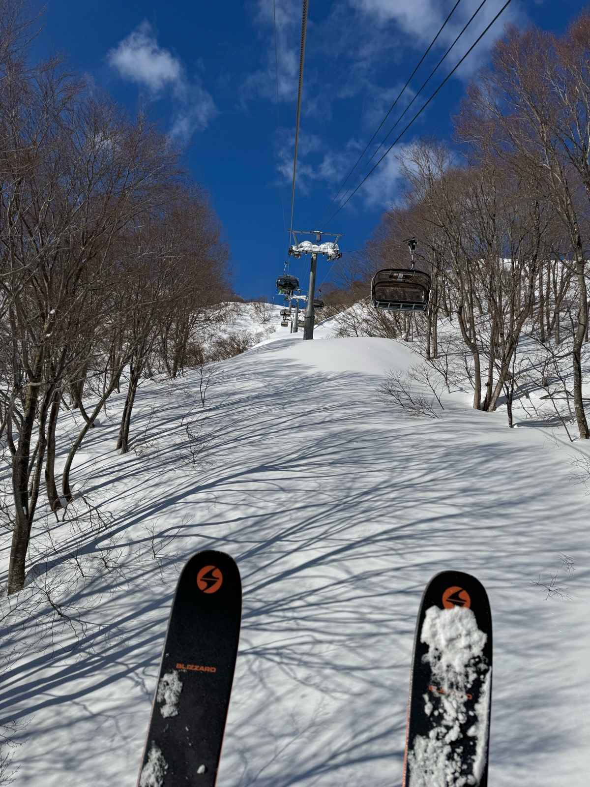 ロッテ アライリゾート