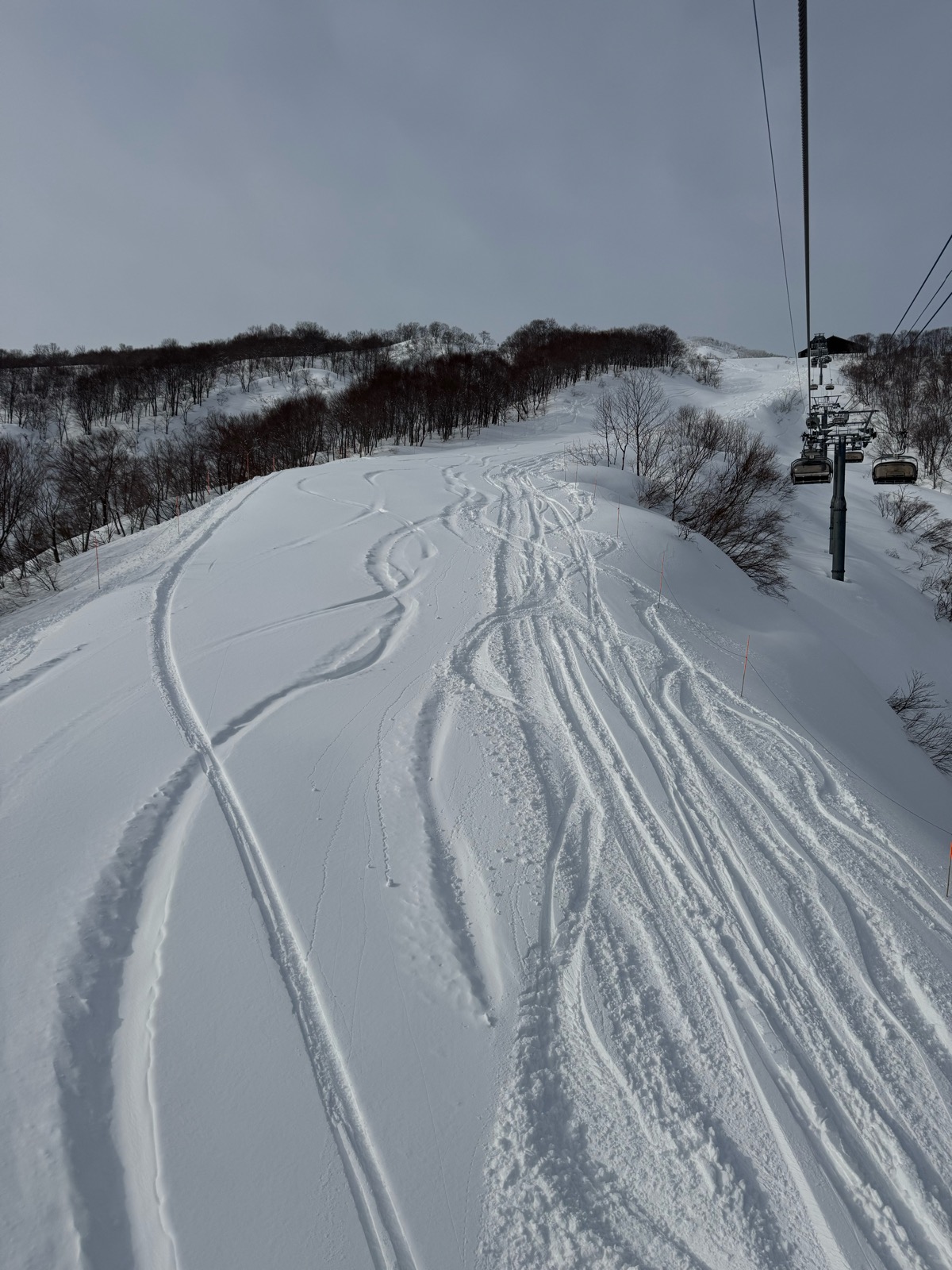 ロッテ アライリゾート