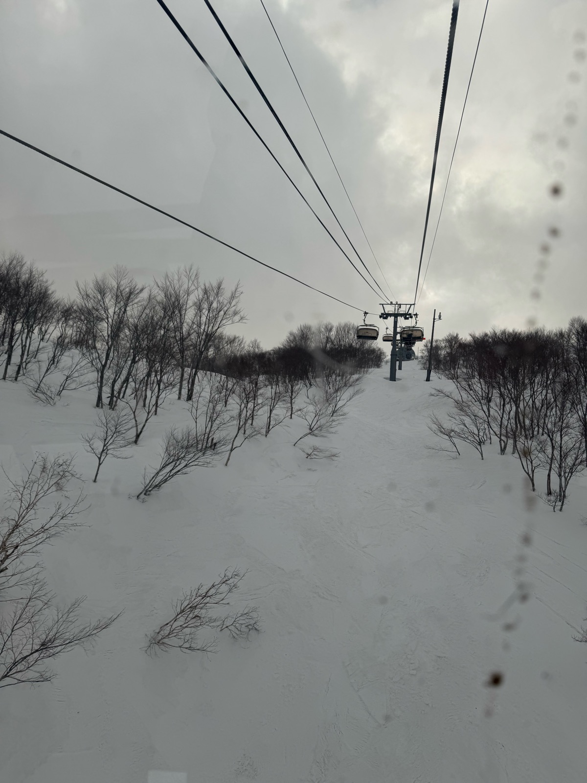 ロッテ アライリゾート