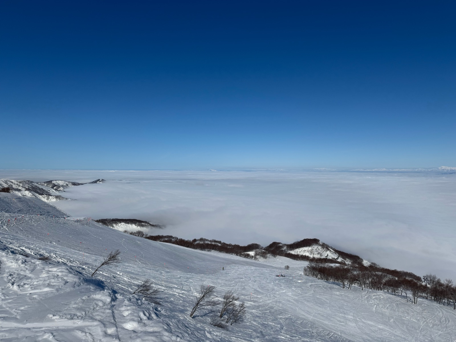 ロッテ アライリゾート