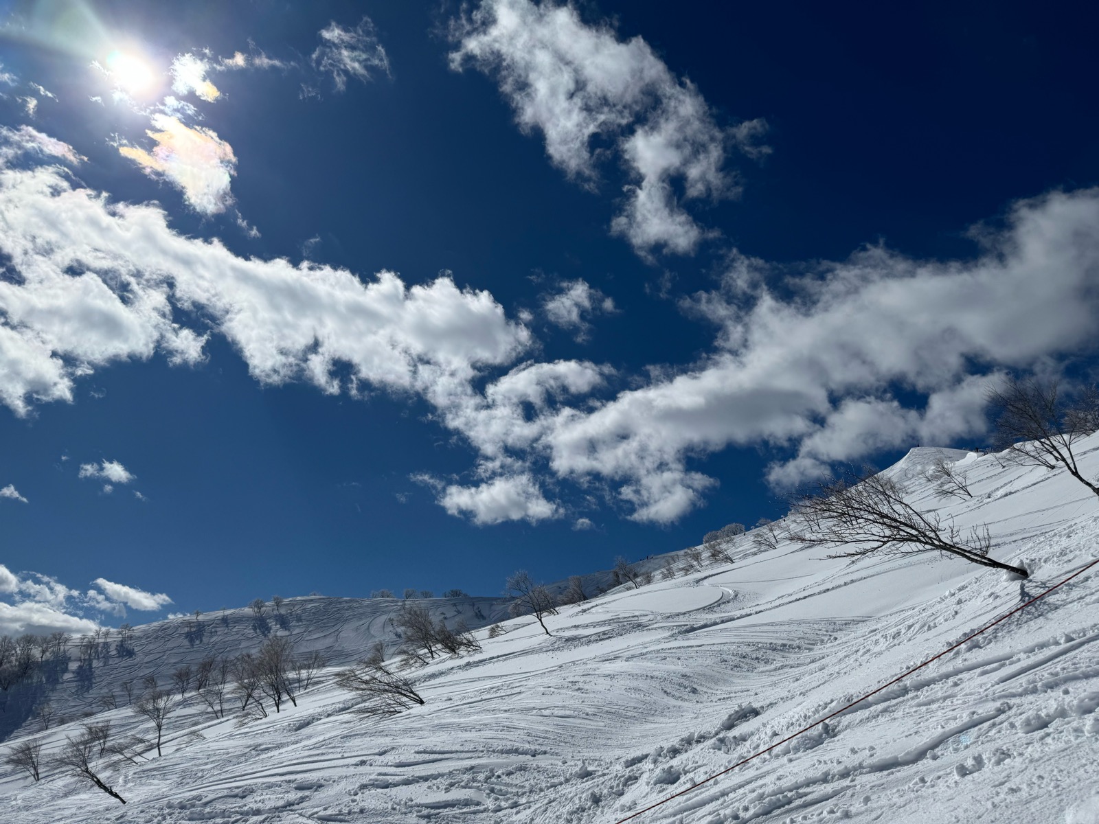 ロッテ アライリゾート