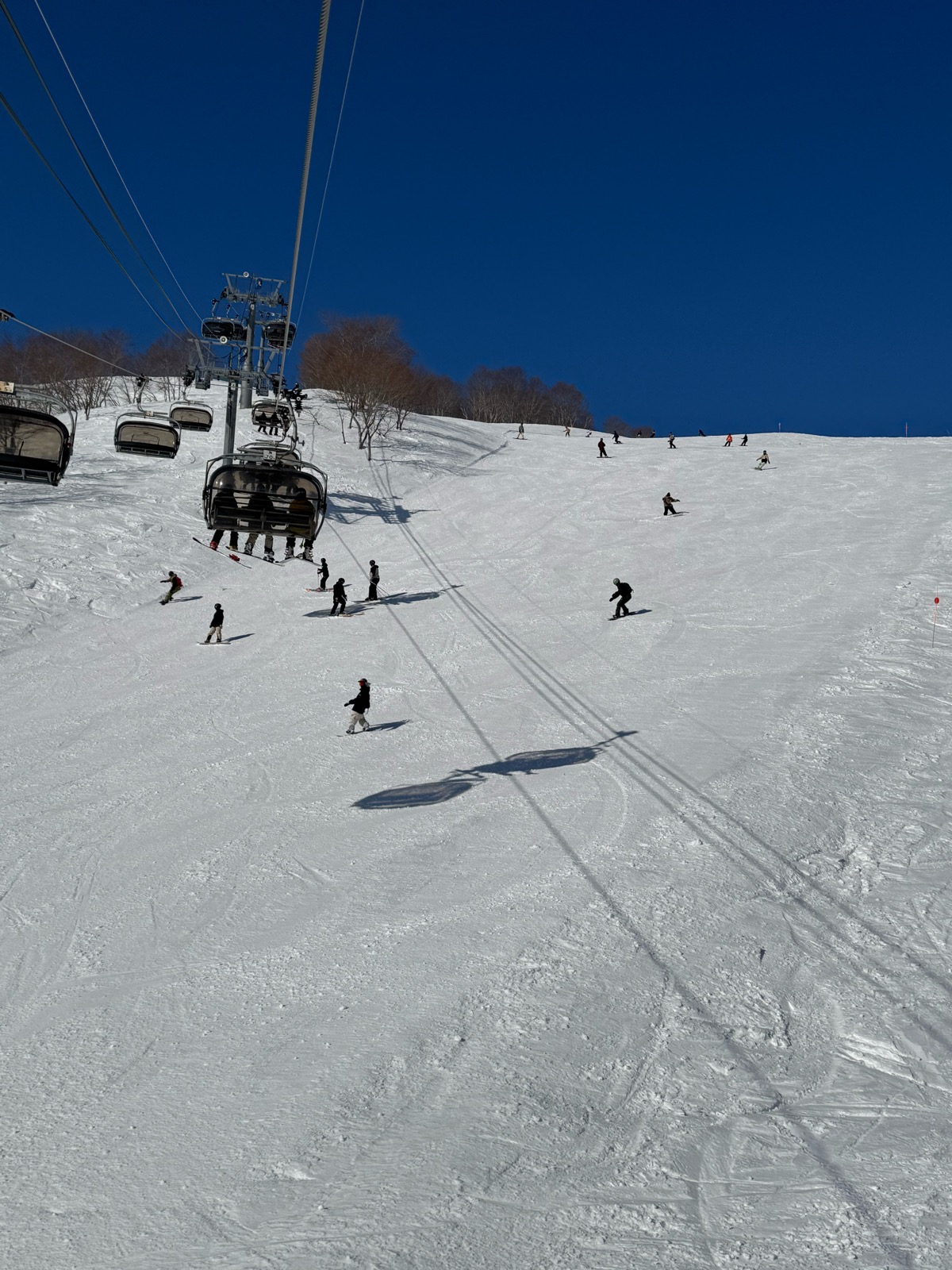 ロッテ アライリゾート