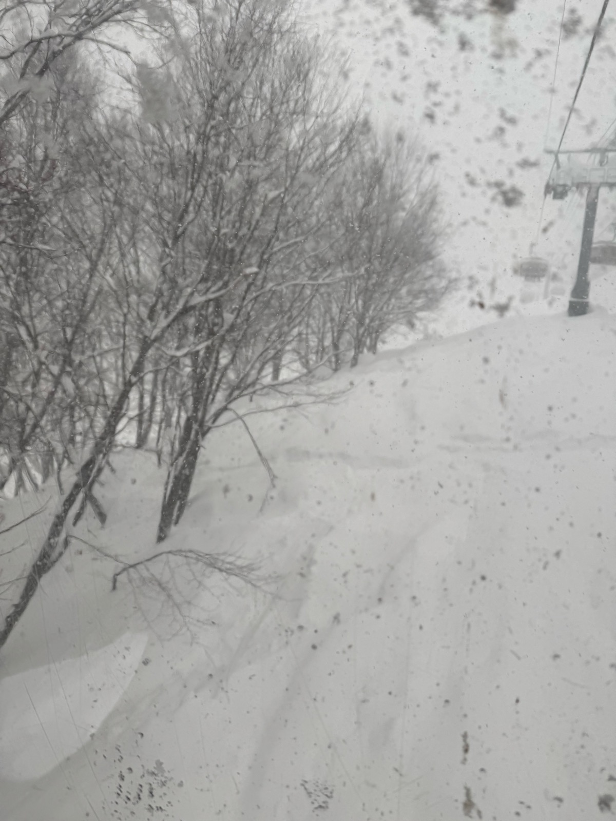 ロッテ アライリゾート