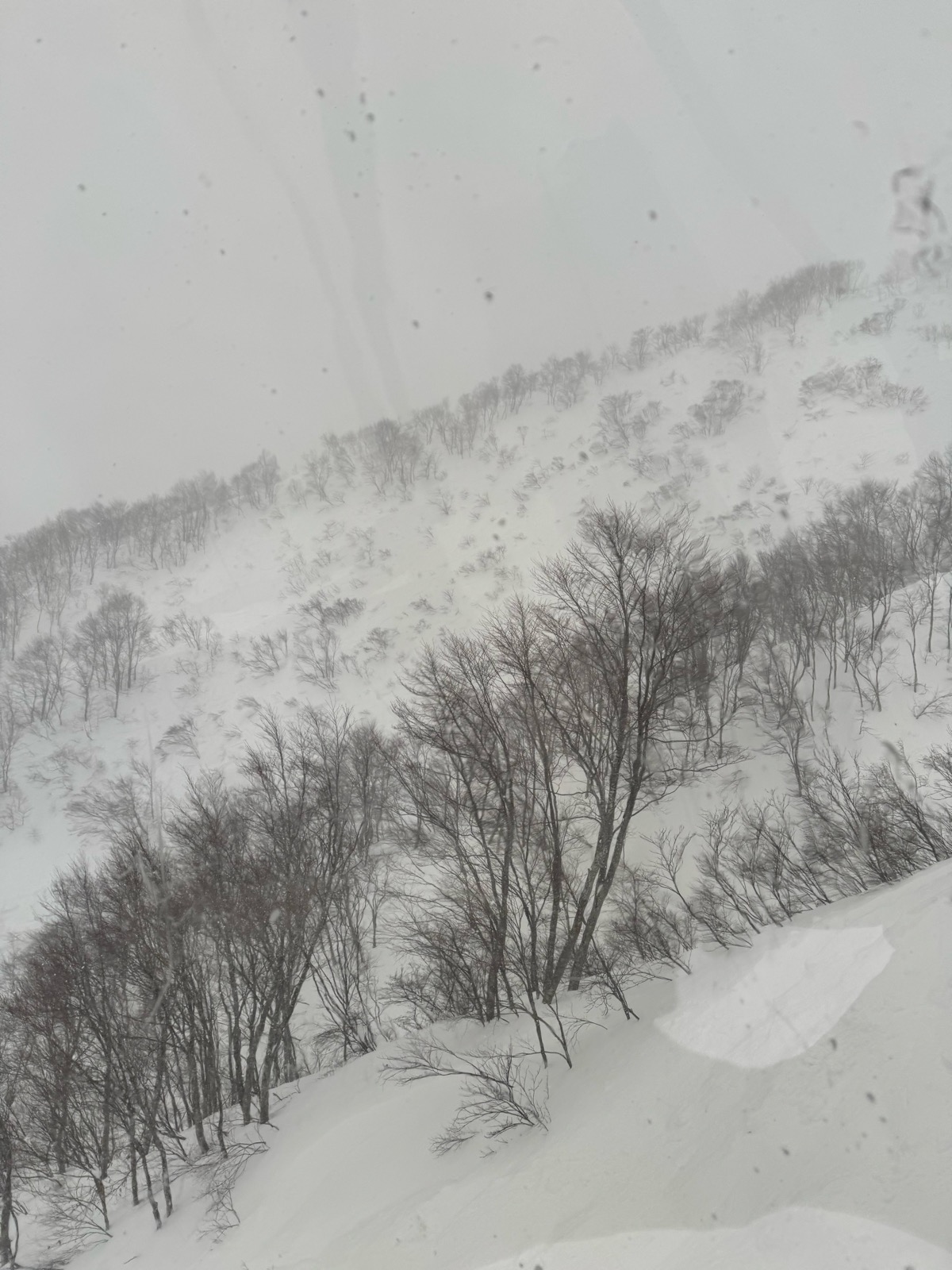 ロッテ アライリゾート