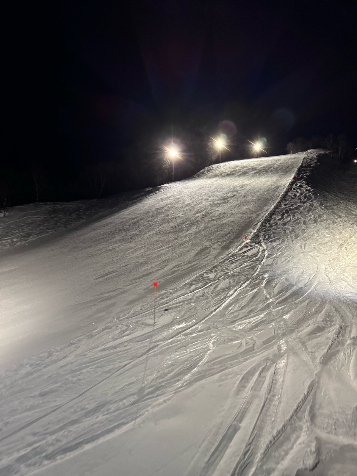 ロッテ アライリゾート