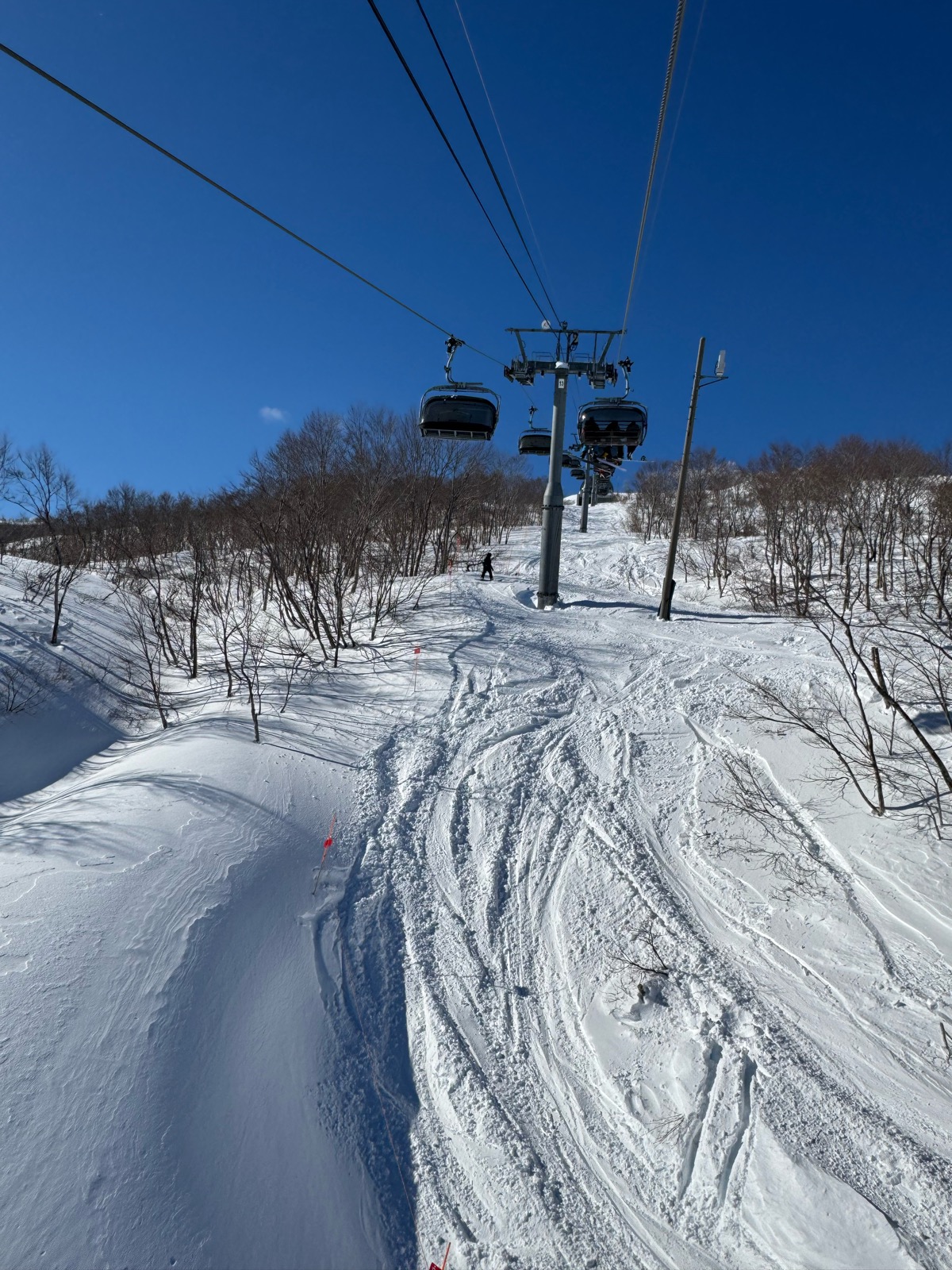 ロッテ アライリゾート