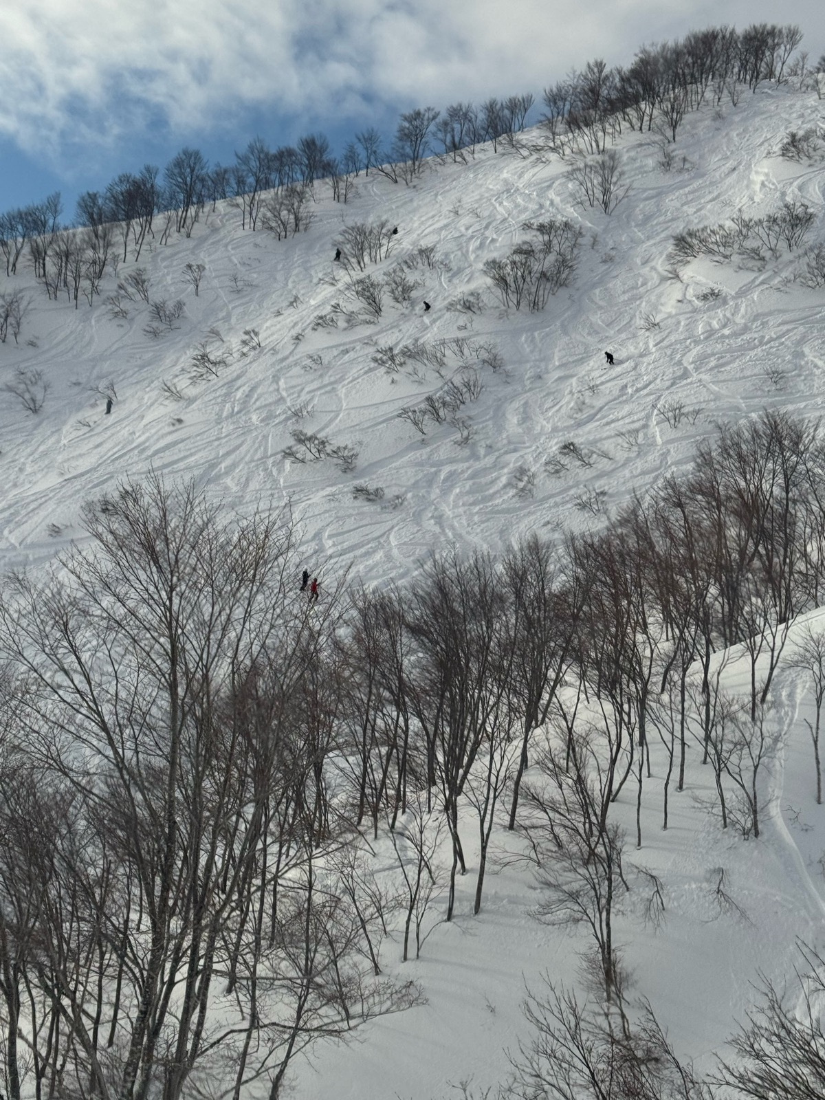 ロッテ アライリゾート