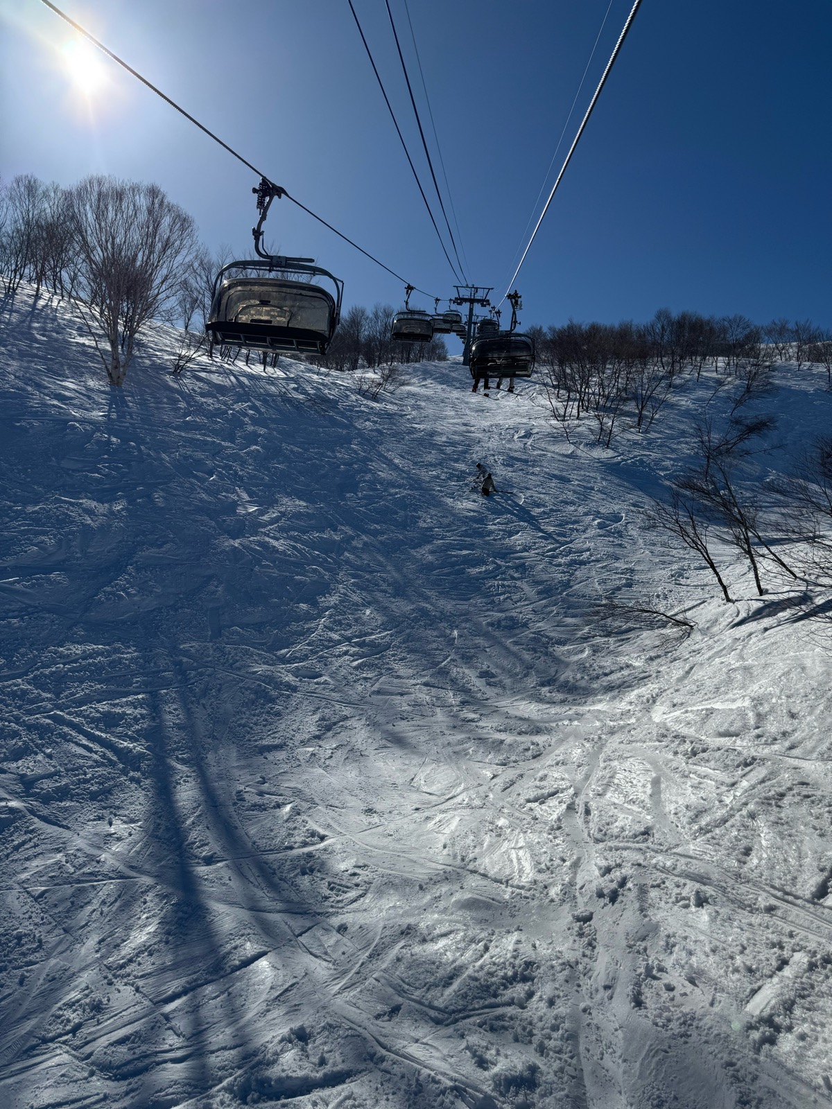 ロッテ アライリゾート