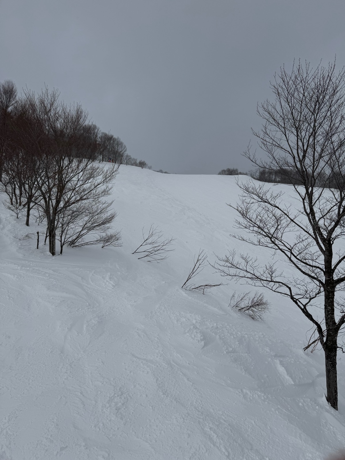 ロッテ アライリゾート