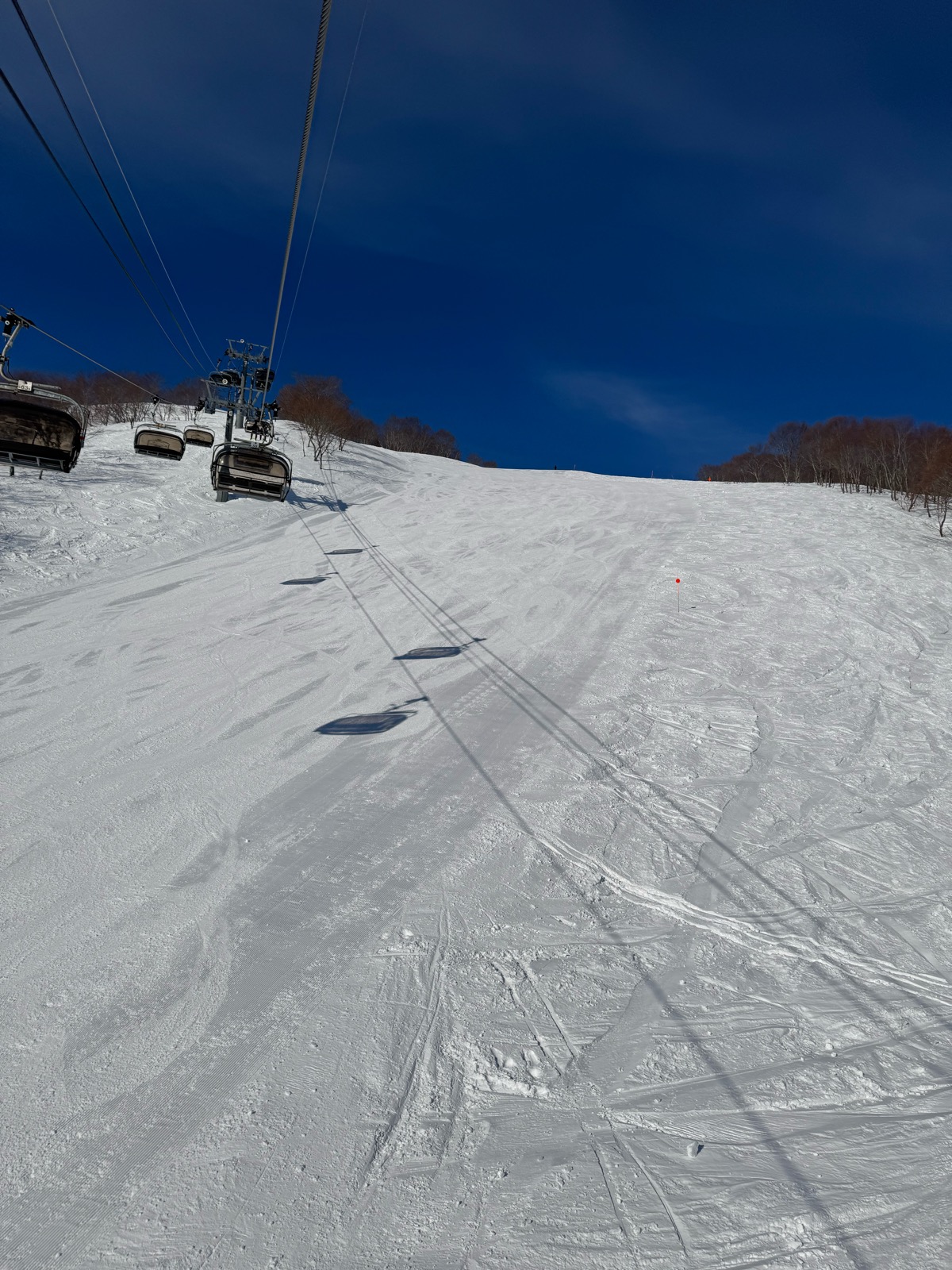 ロッテ アライリゾート