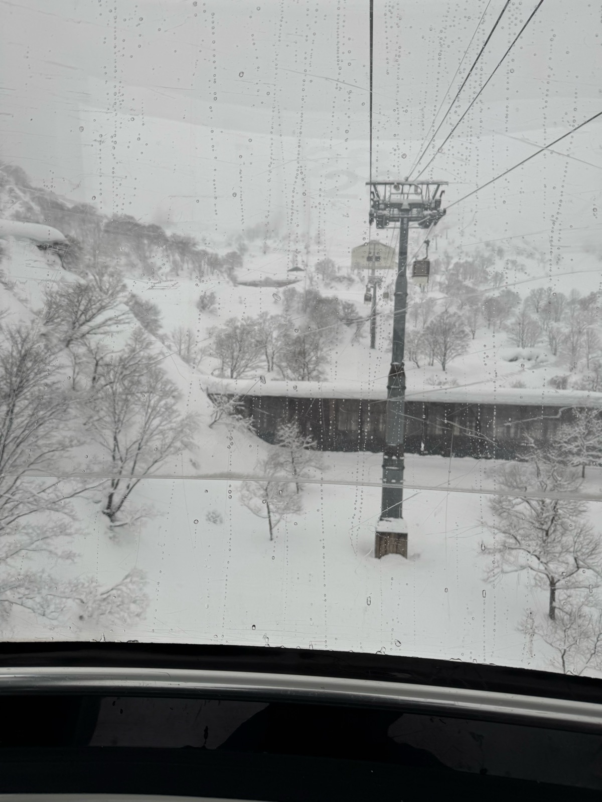 ロッテ アライリゾート