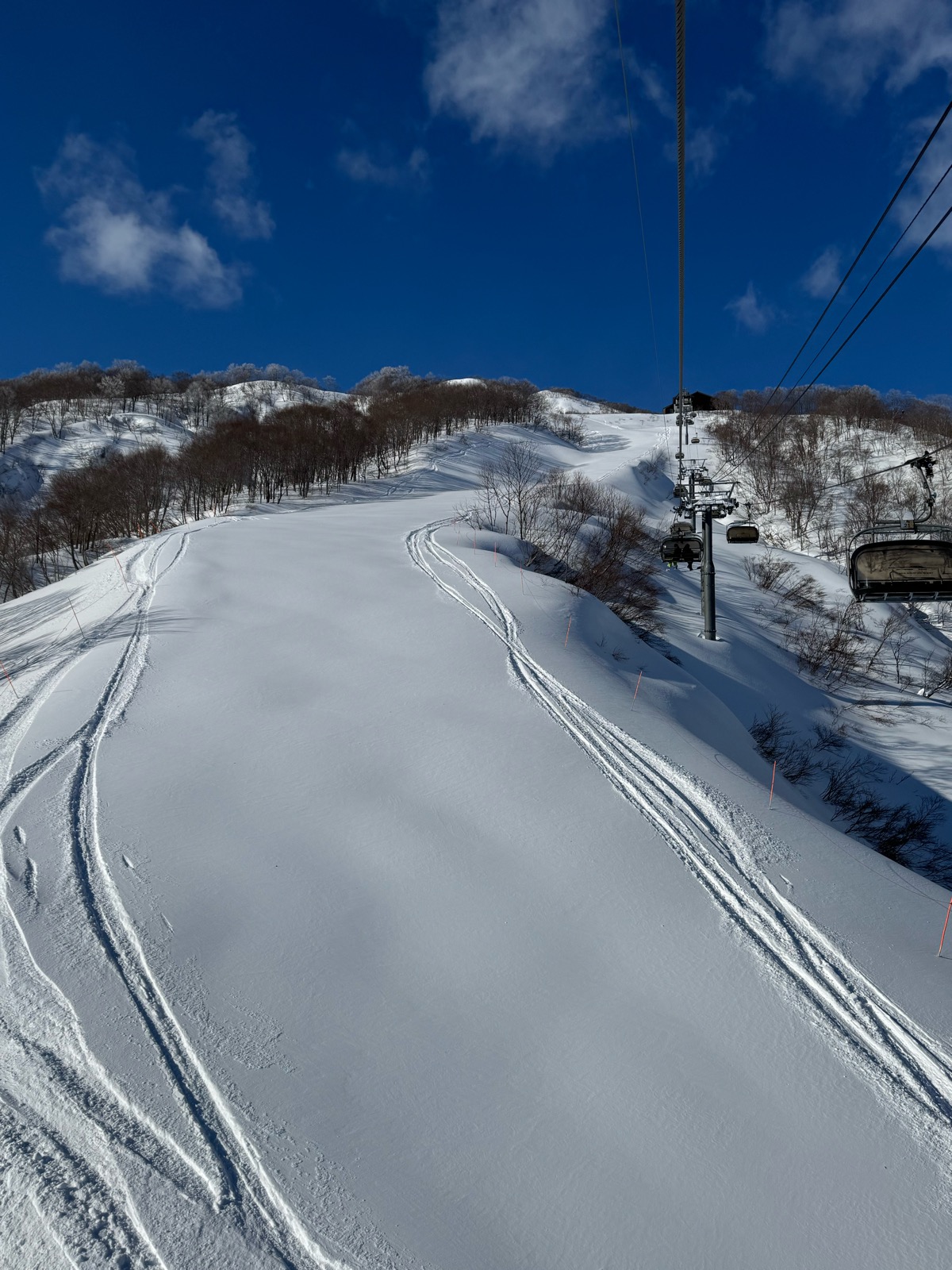 ロッテ アライリゾート