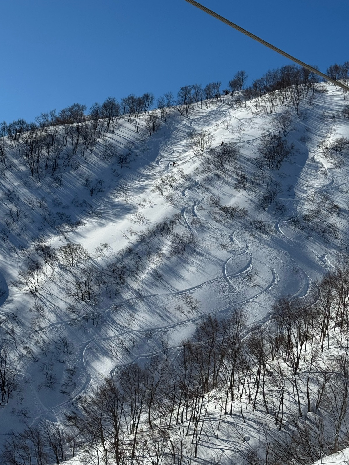 ロッテ アライリゾート