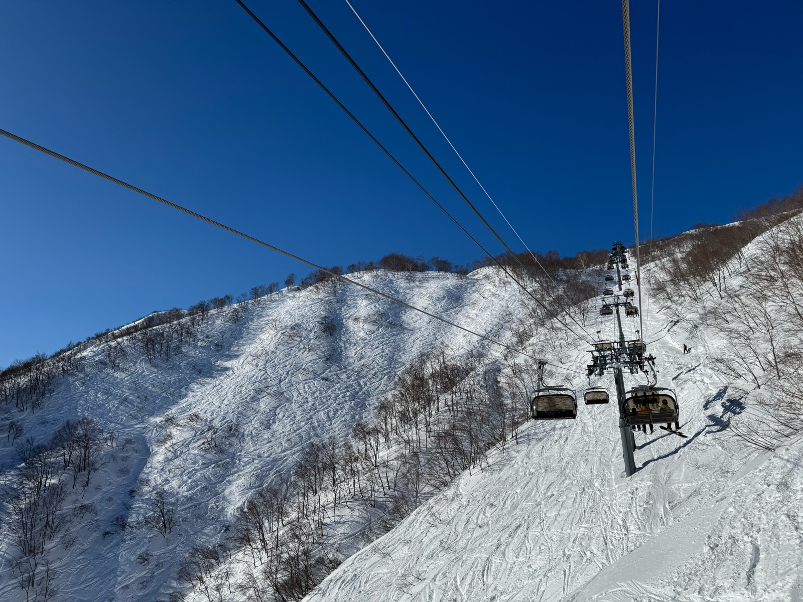 ロッテ アライリゾート