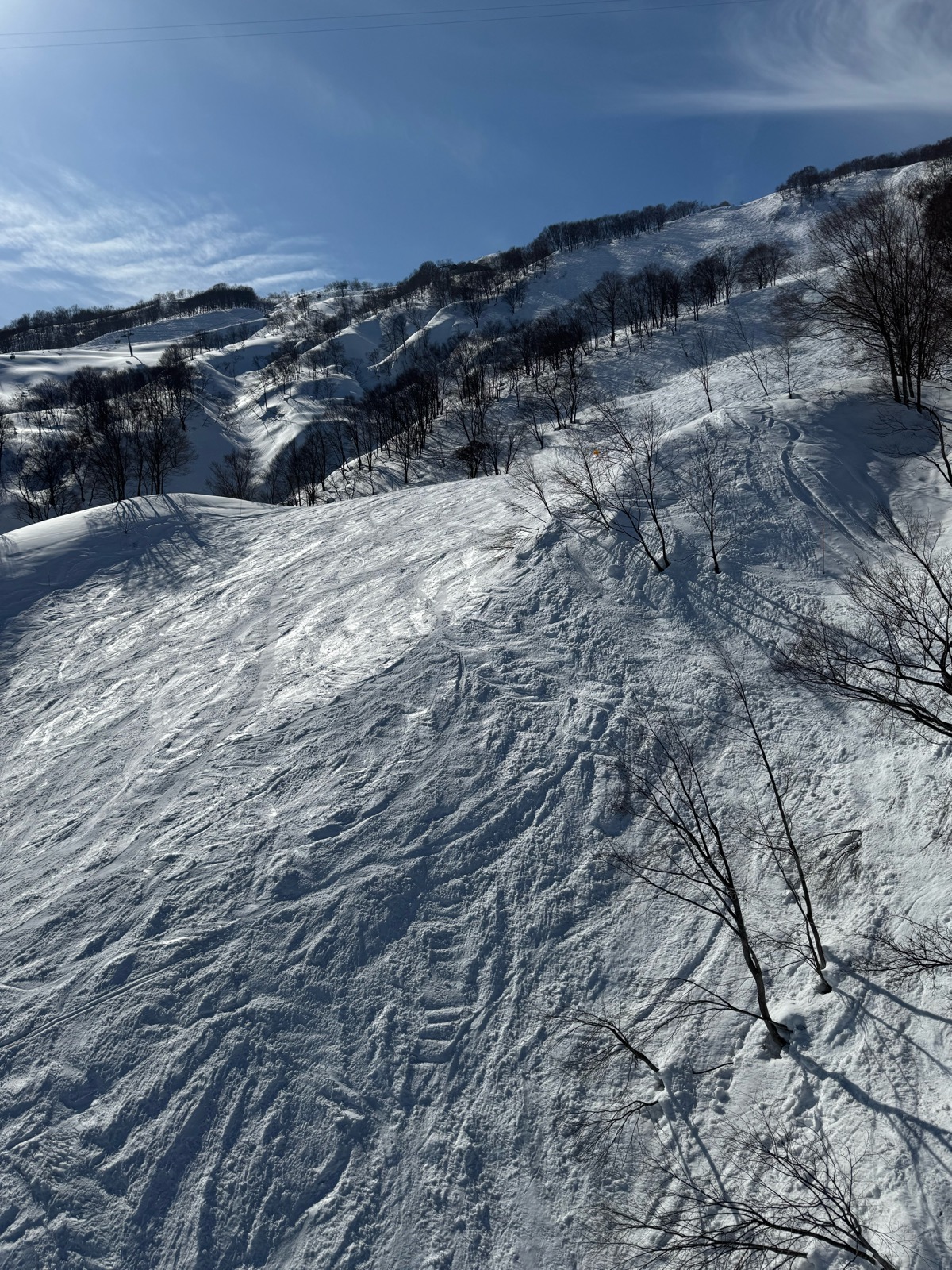 ロッテ アライリゾート