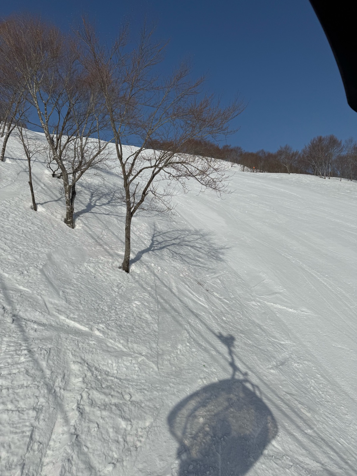 ロッテ アライリゾート