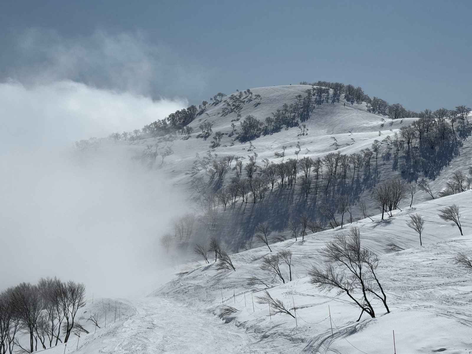 ロッテ アライリゾート
