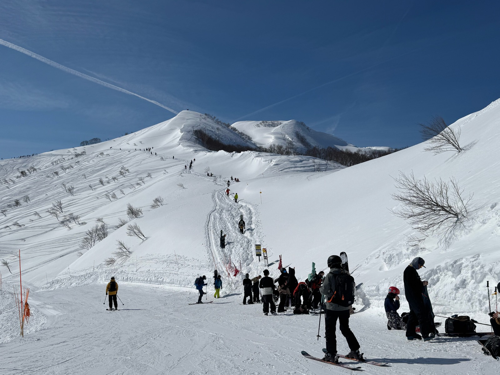 ロッテ アライリゾート