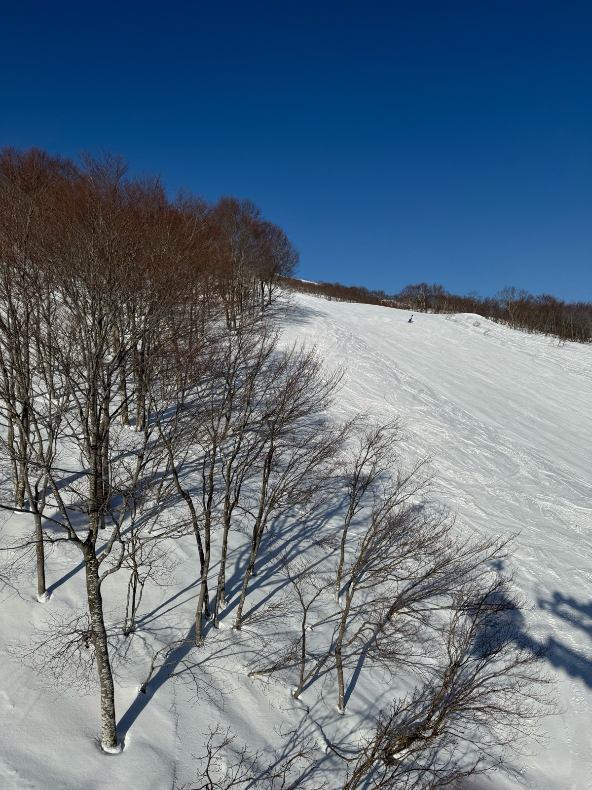 ロッテ アライリゾート