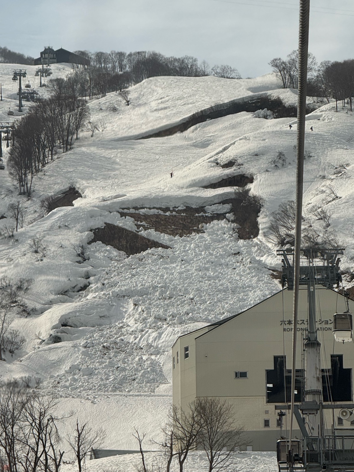 ロッテ アライリゾート