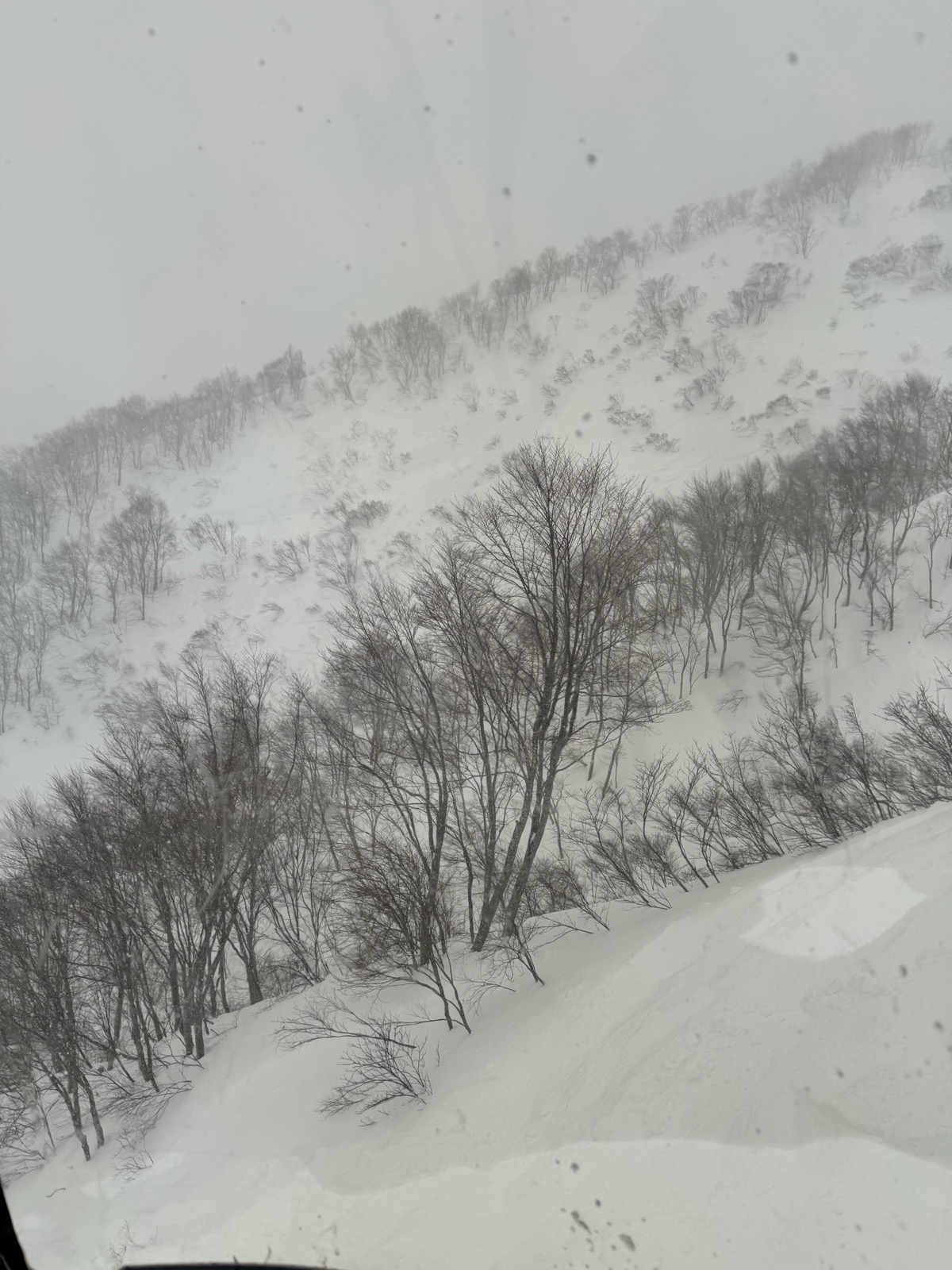 ロッテ アライリゾート