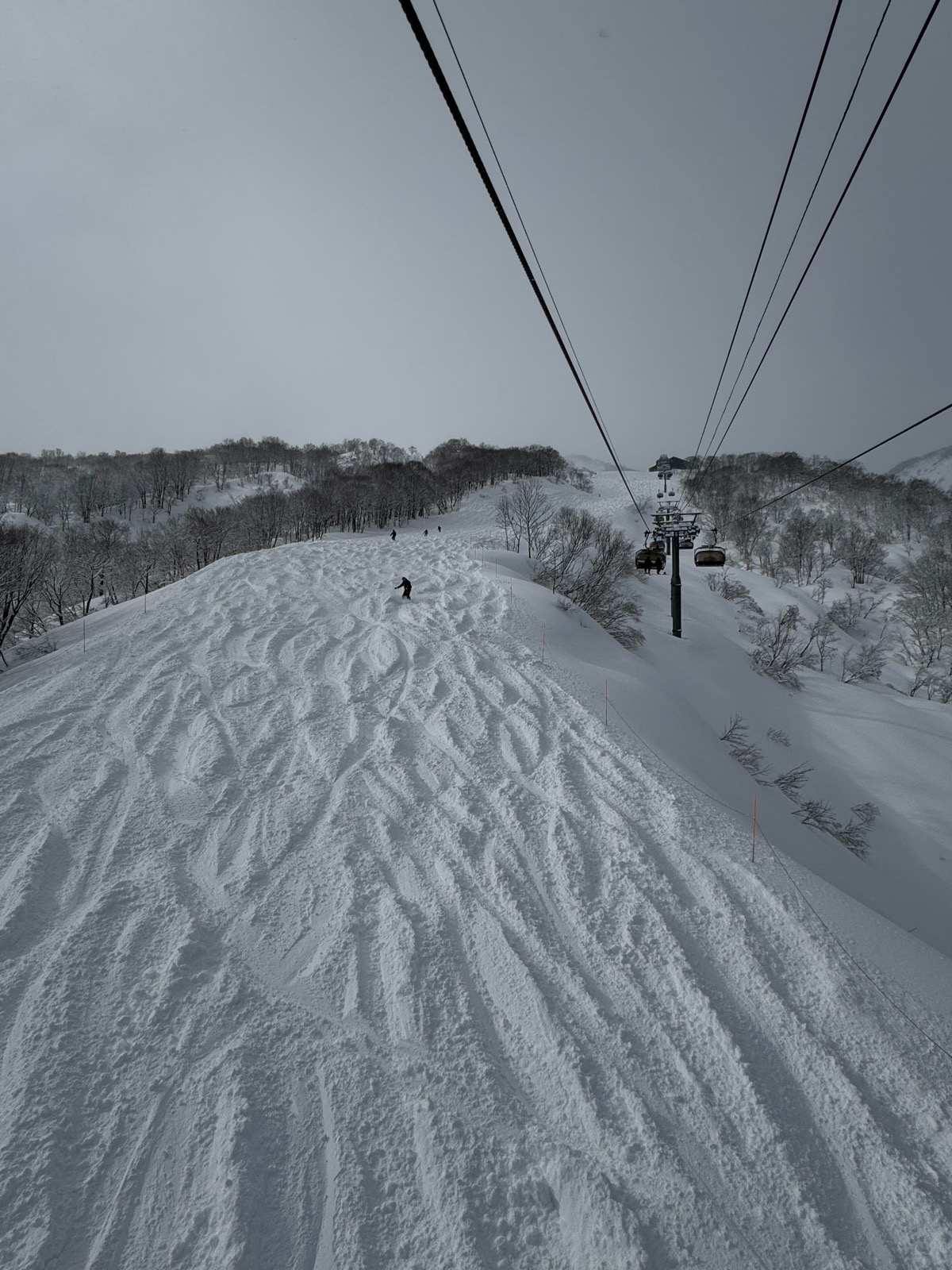 ロッテ アライリゾート