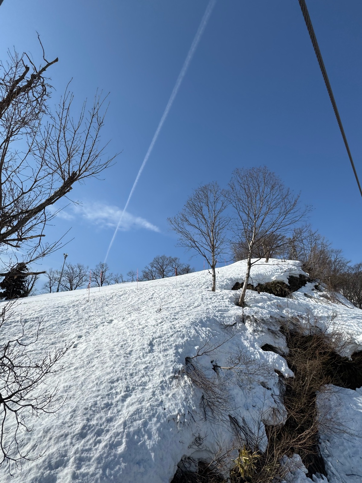 ロッテ アライリゾート